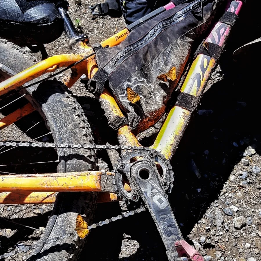 IMG-20190721-WA0002-01.jpeg