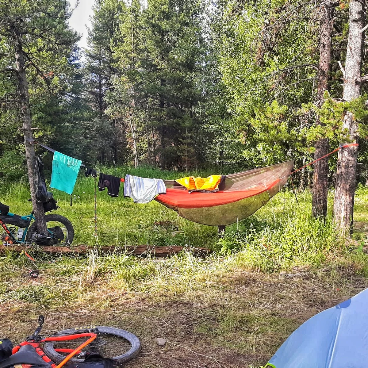 IMG-20190724-WA0014-01.jpeg