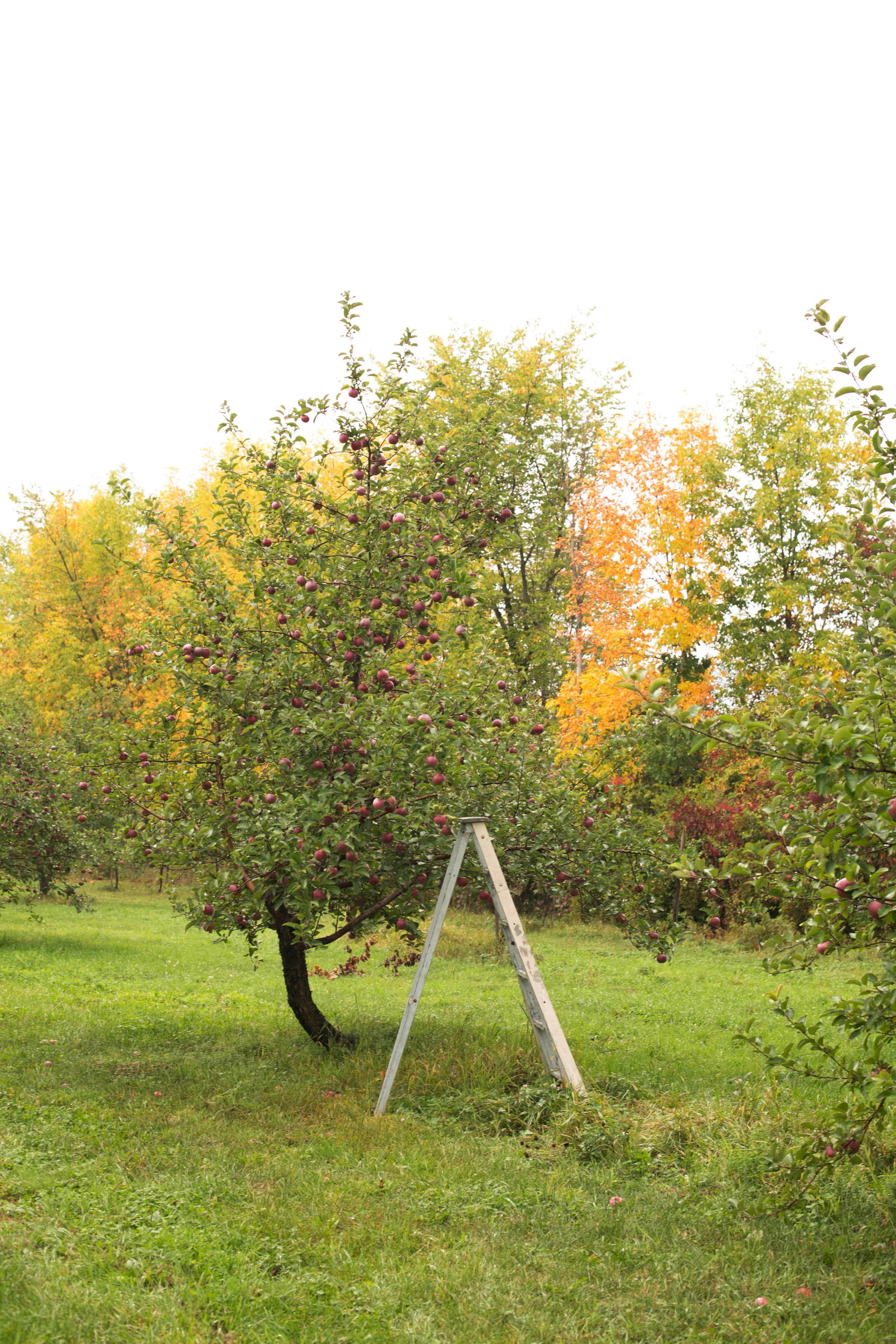 1E0A0112.jpg