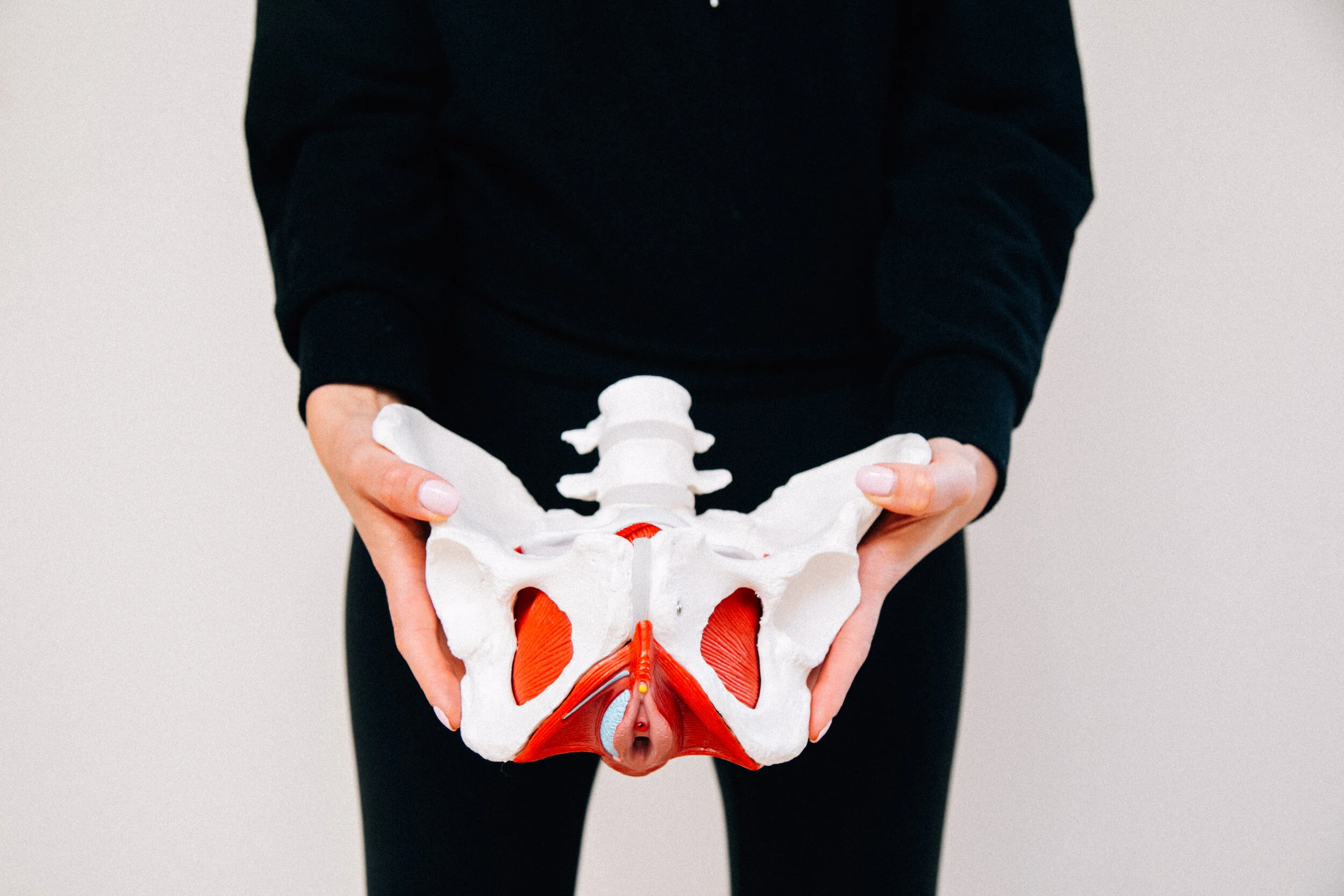 Pelvic Floor Workshop