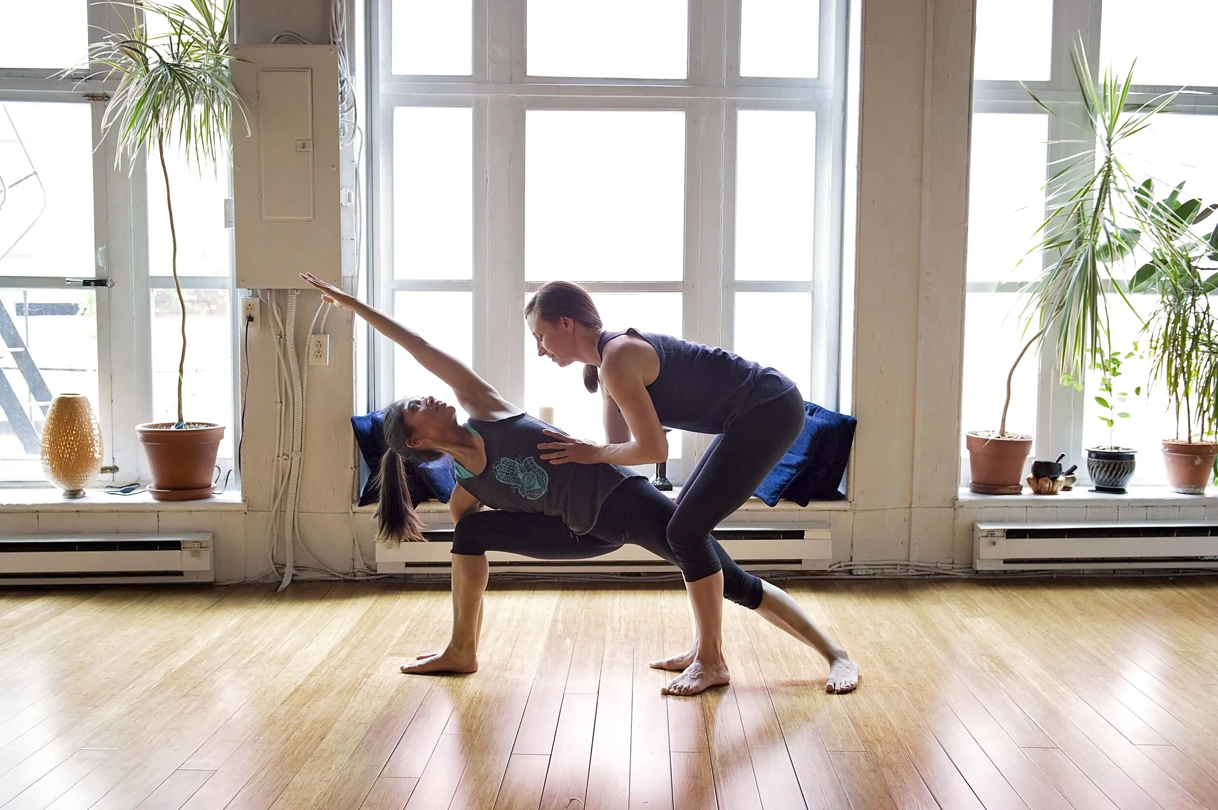 Asana II — Luna Yoga Montreal | Yoga Classes, Jivamukti, Yoga Flo ...