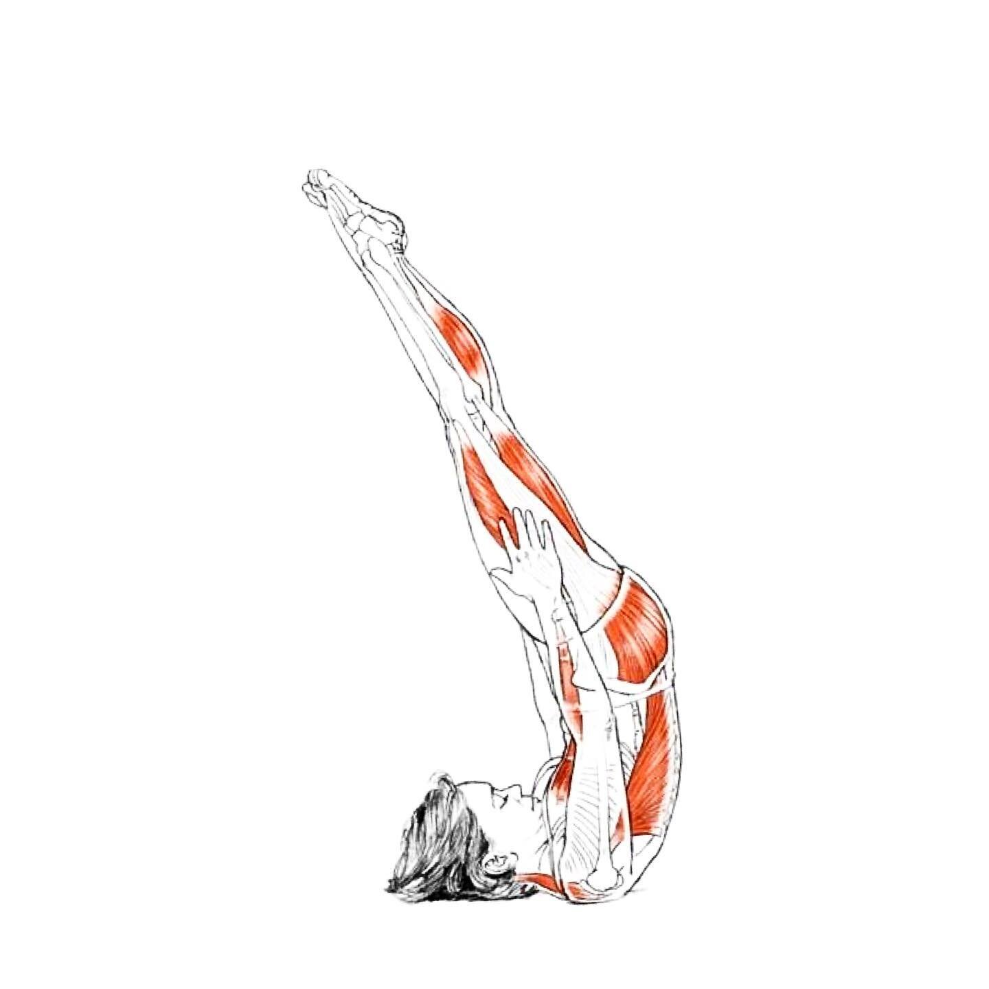🕯 Salamba Sarvangasana or candle pose or shoulder stand is such a playful inversion that stretches our your shoulders, strengthens our limbs and gets the blood flowing back to the heart. But even more, it&rsquo;s supposed to help with irritability! 