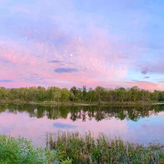 Bliss + Bloom Retreat 2025