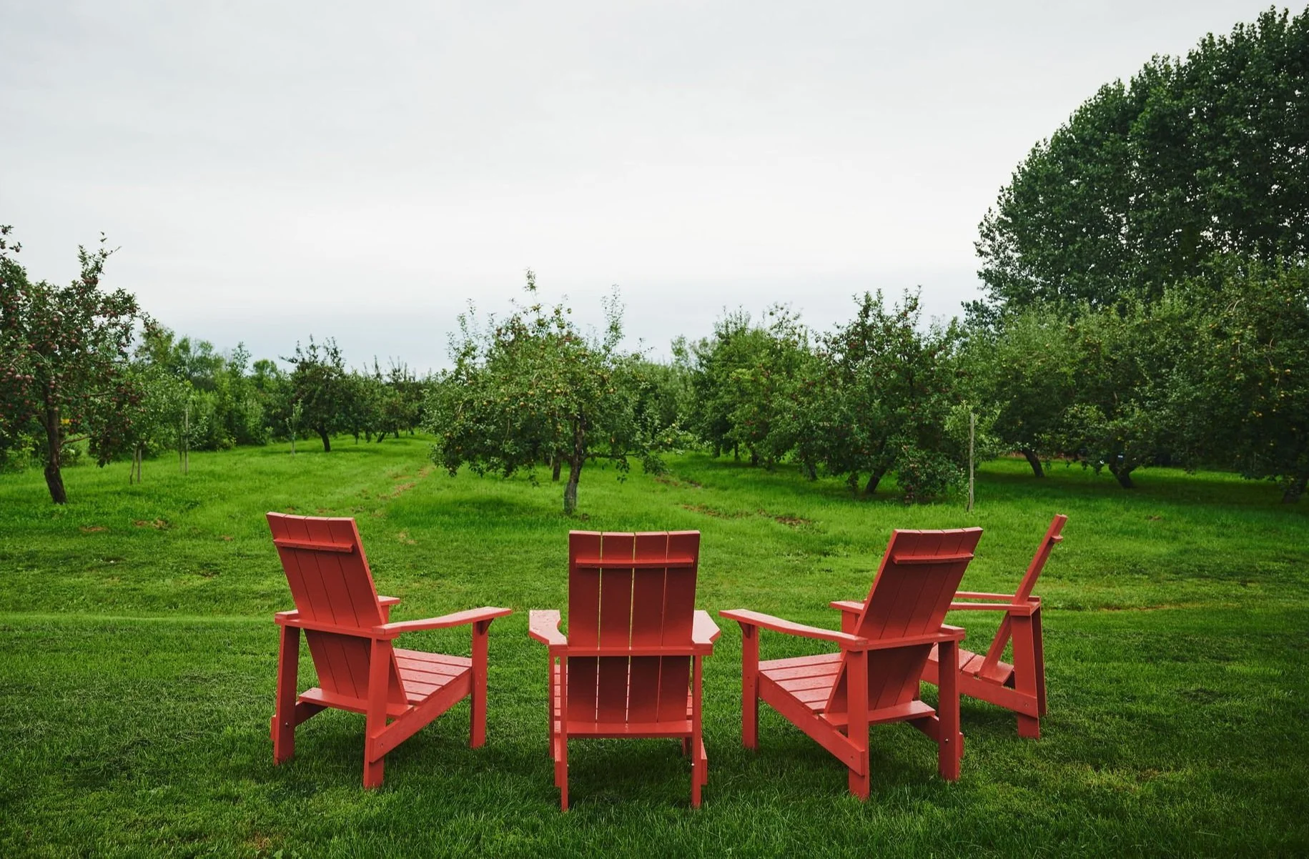 Orchard + Oasis Day Retreat
