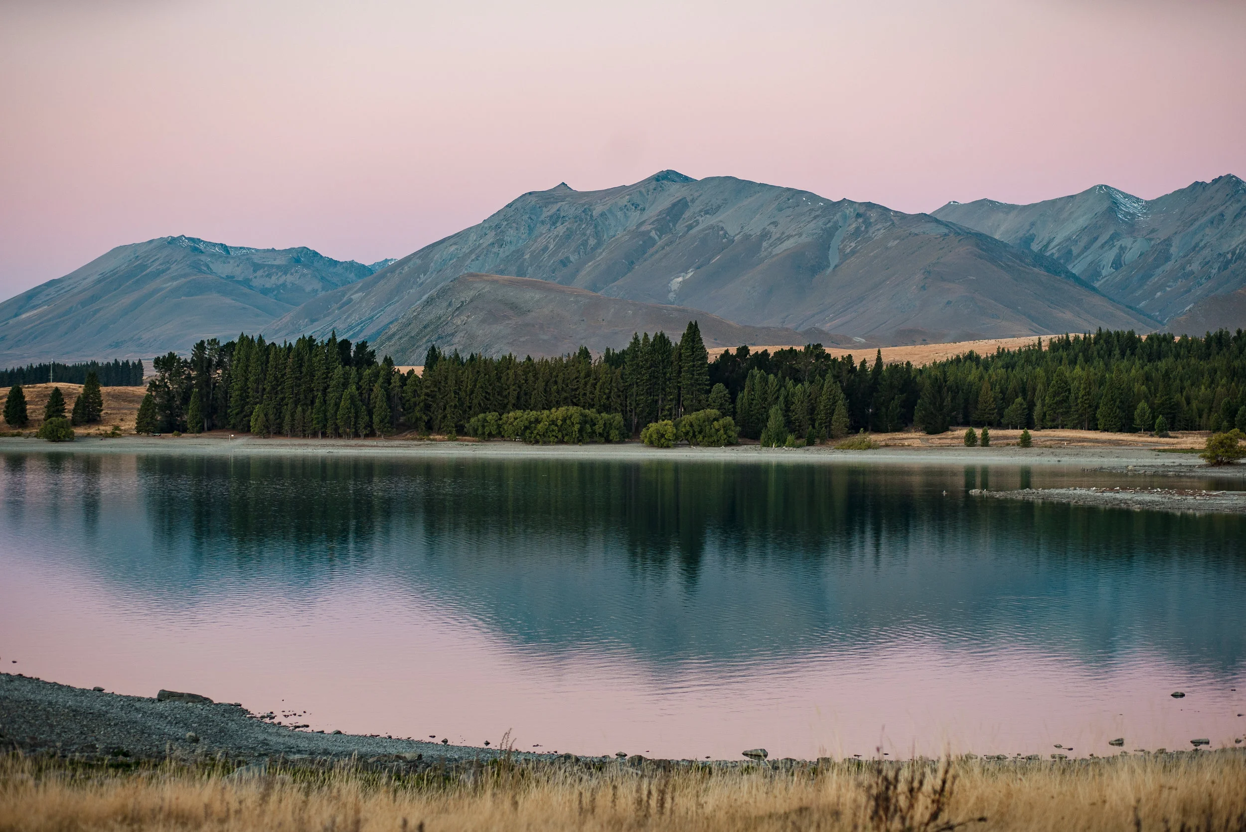 newzealand-00621.jpg