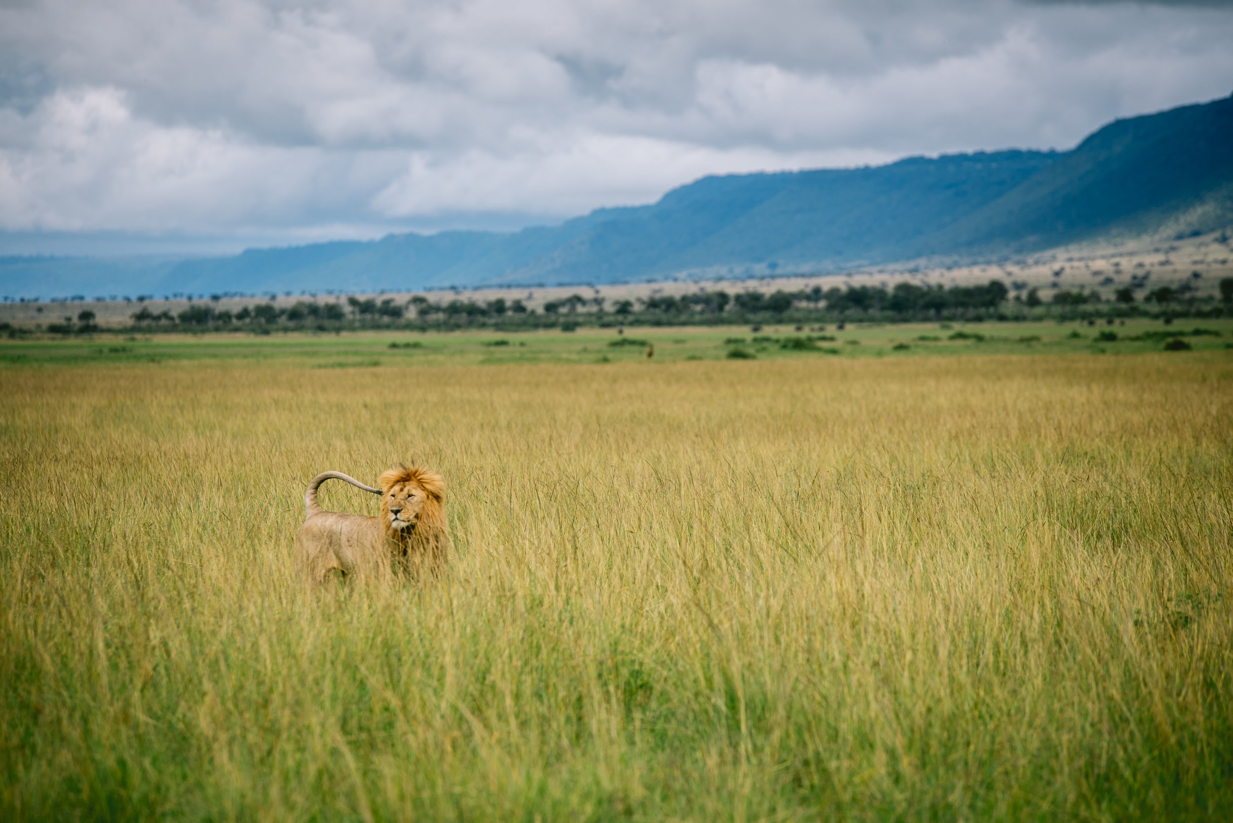 kenya-A7s-09856.jpg