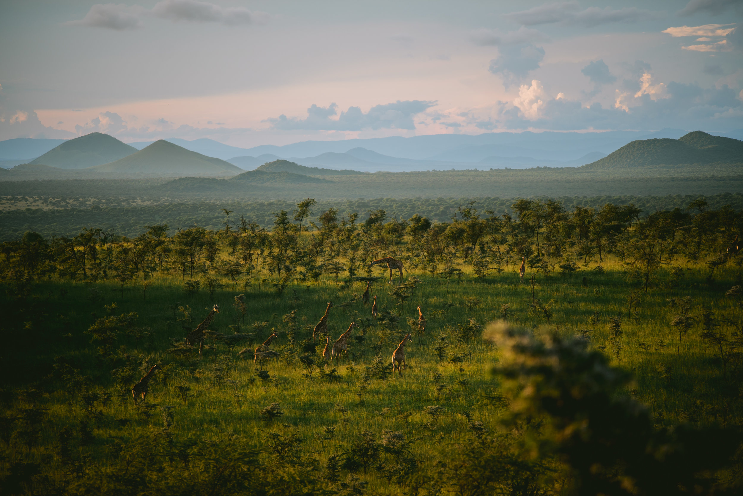 kenya-A7s-09749.jpg