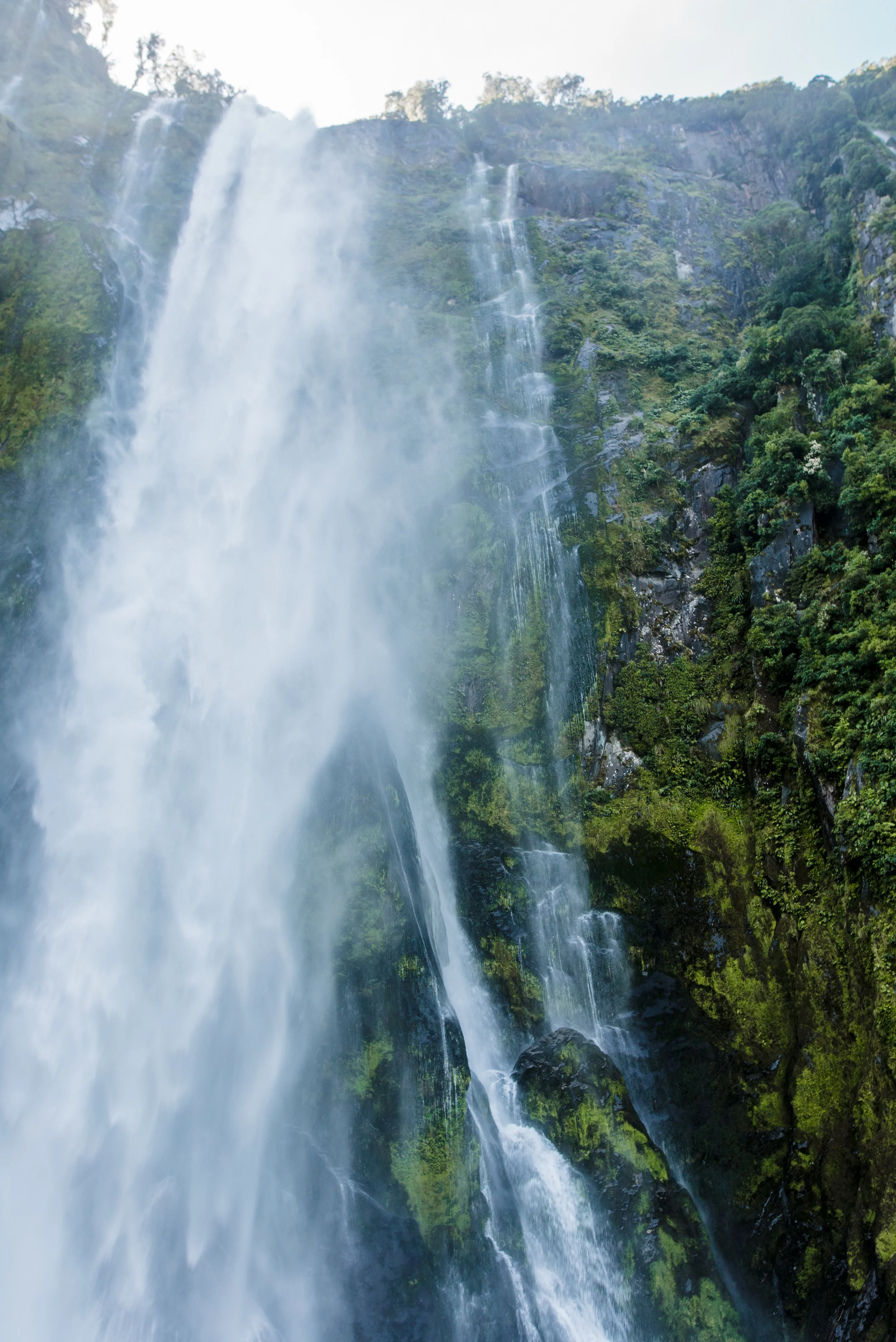 newzealand-01532.jpg