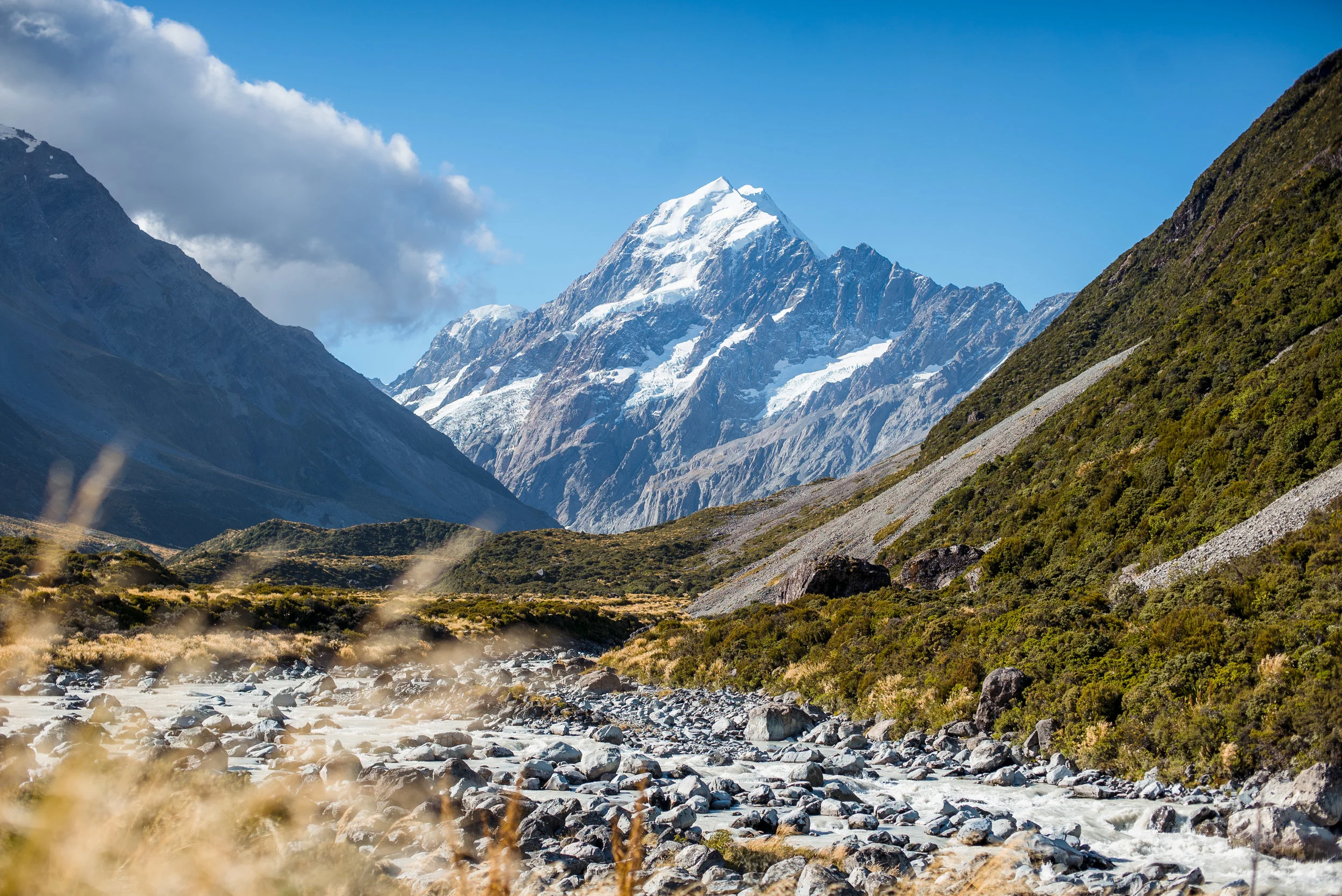 newzealand-00779.jpg