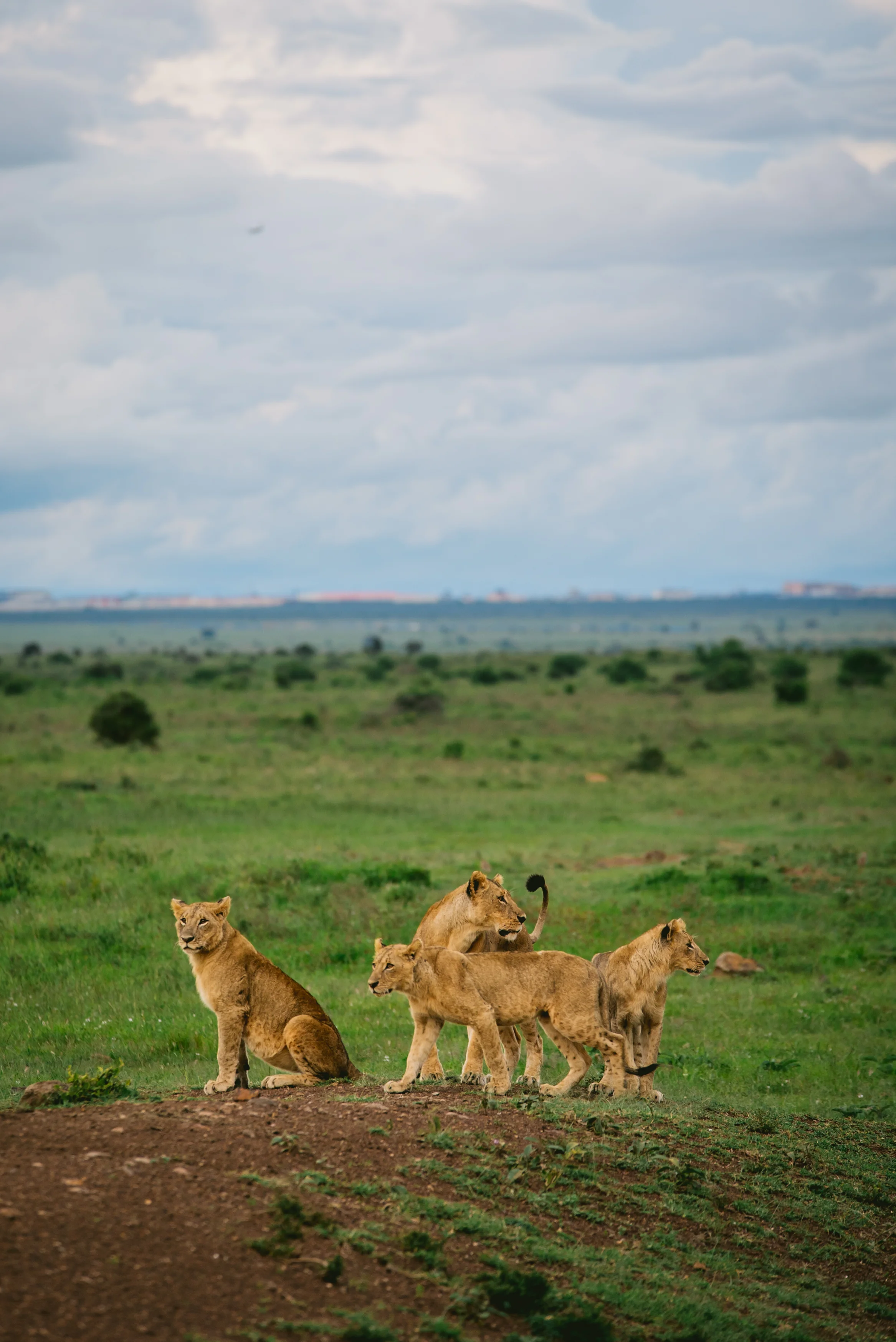 kenya (54 of 185).jpg