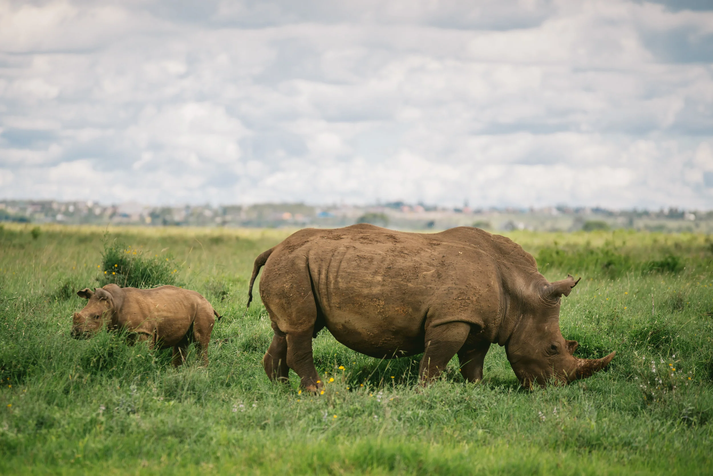 kenya (16 of 185).jpg
