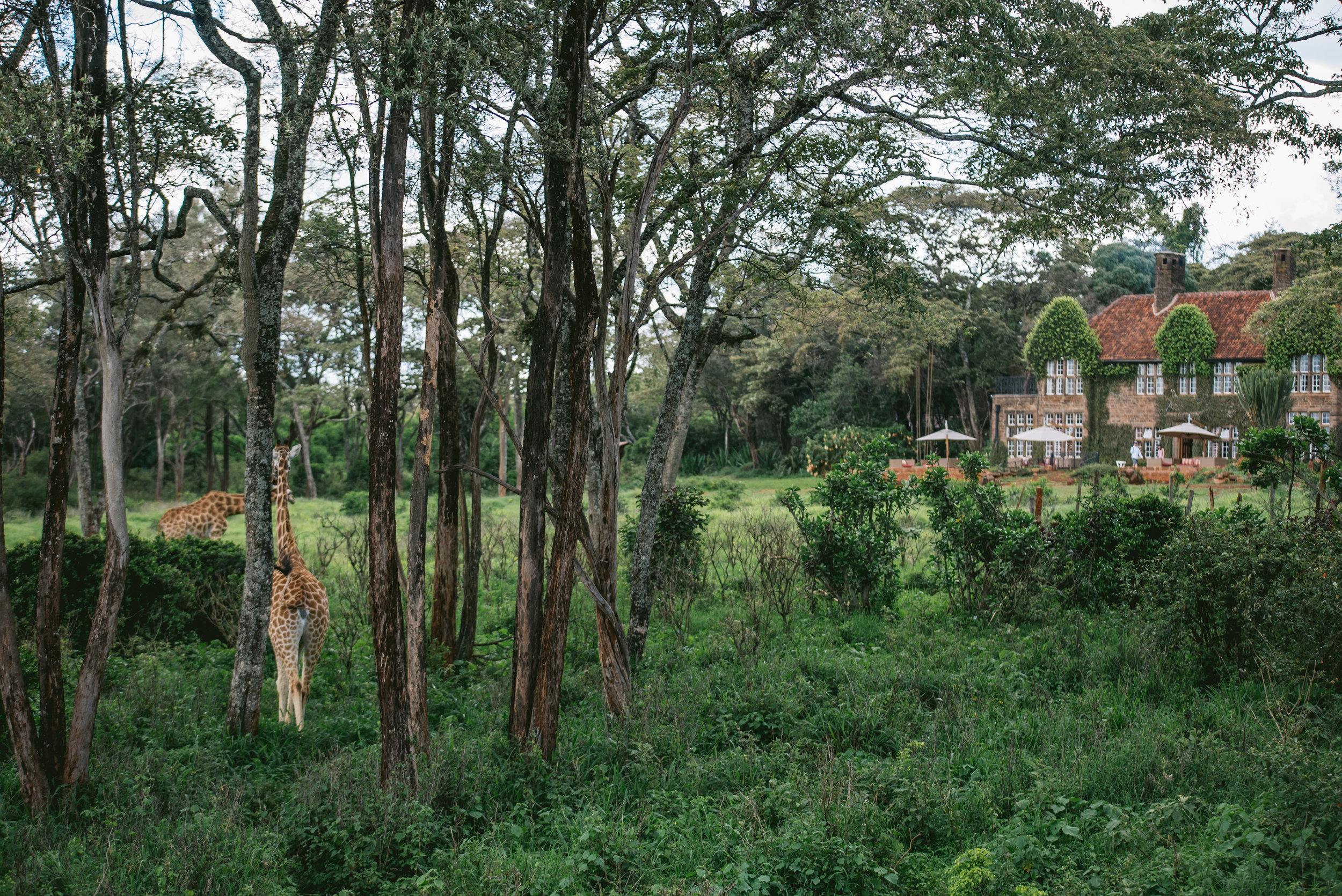 kenya (36 of 185).jpg