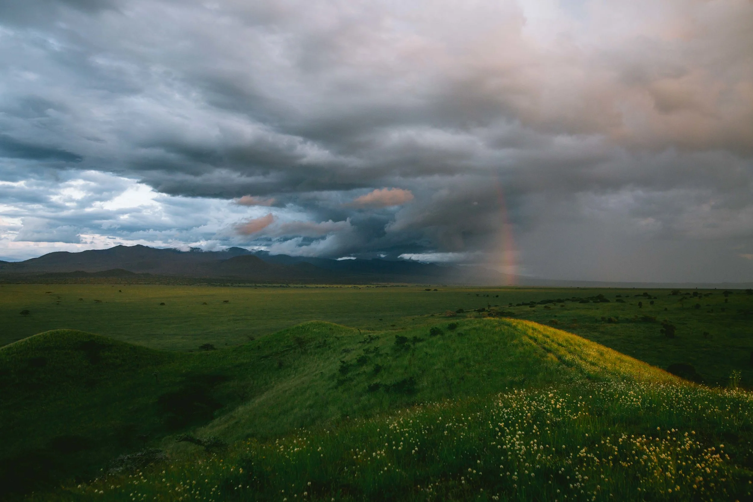 kenya-5D-9073.jpg
