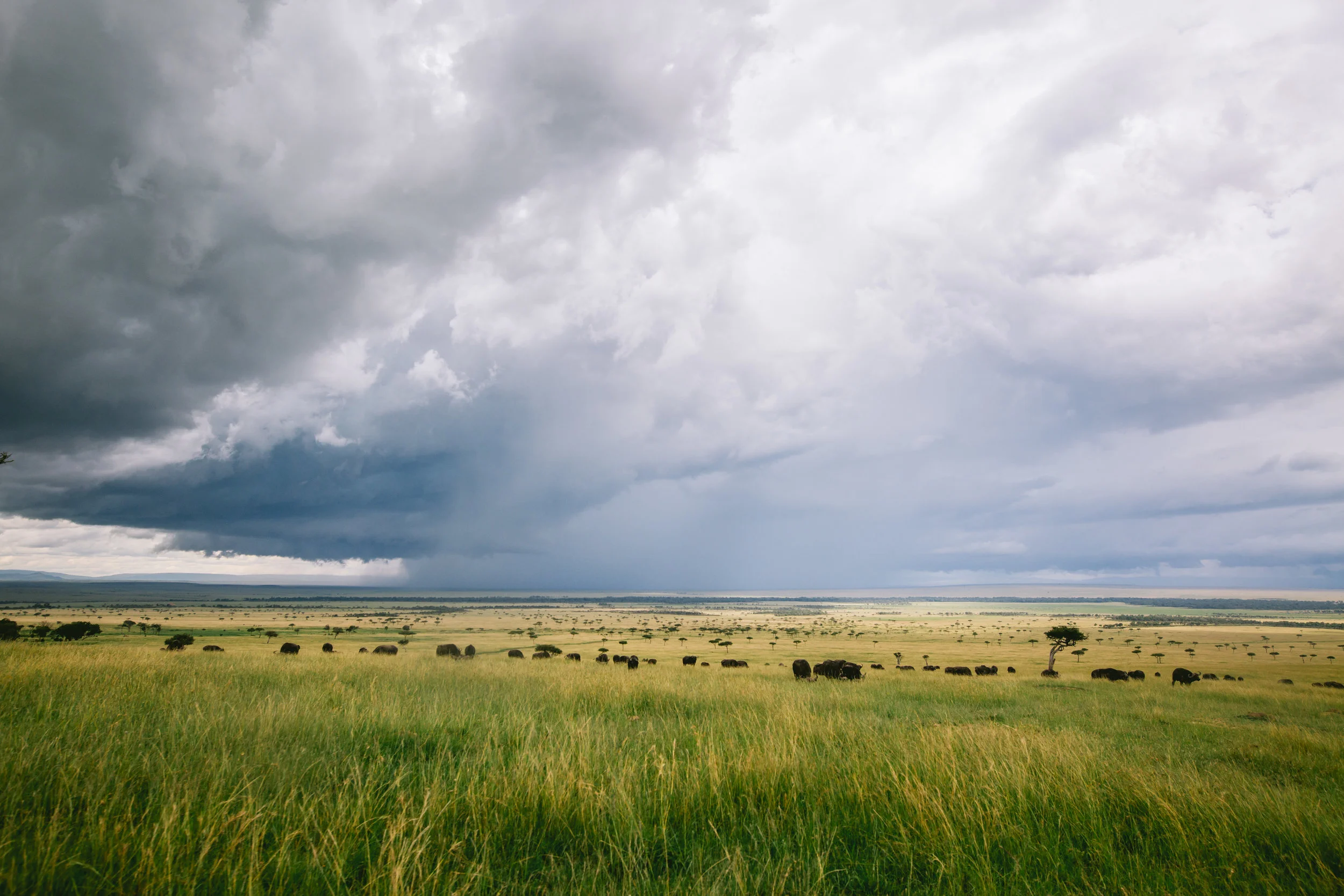 kenya-5d-9713.jpg