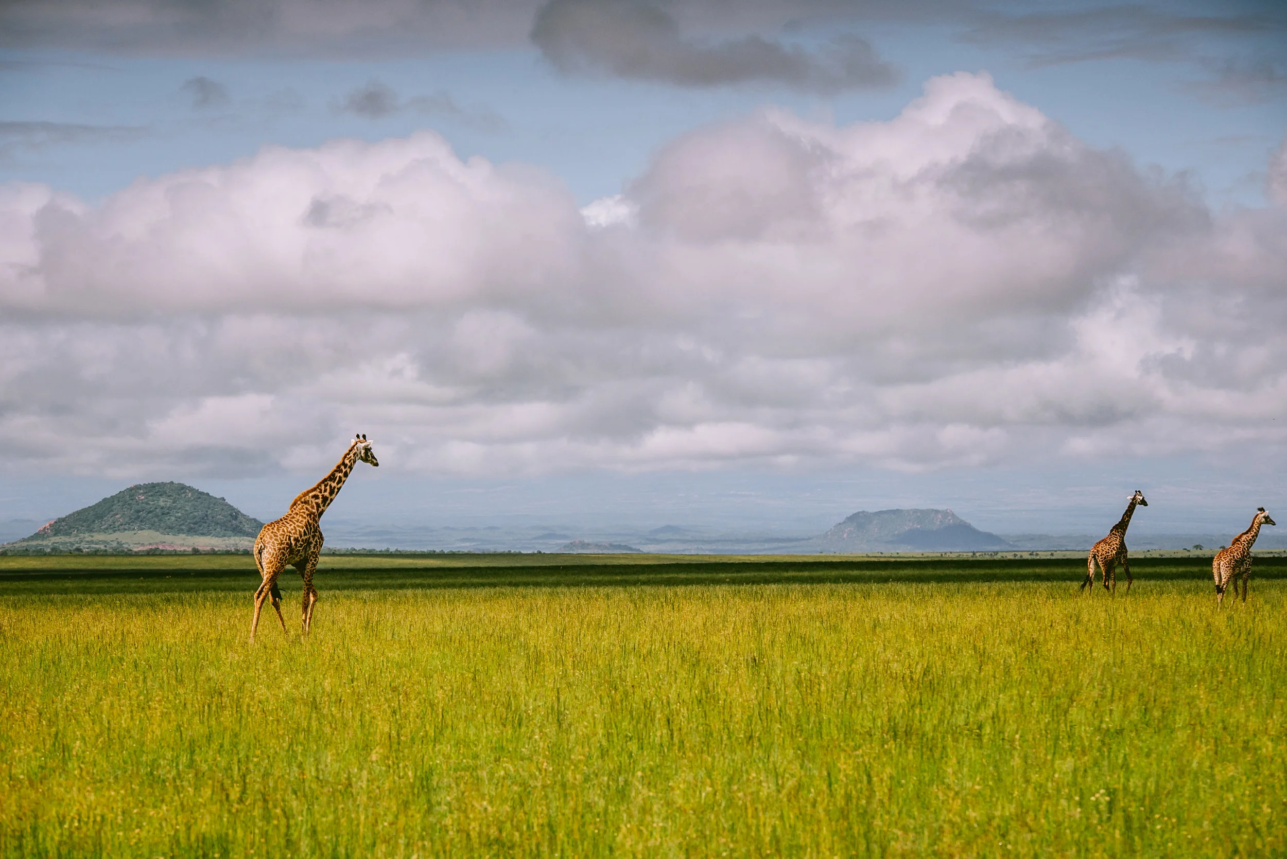 kenya-08955.jpg