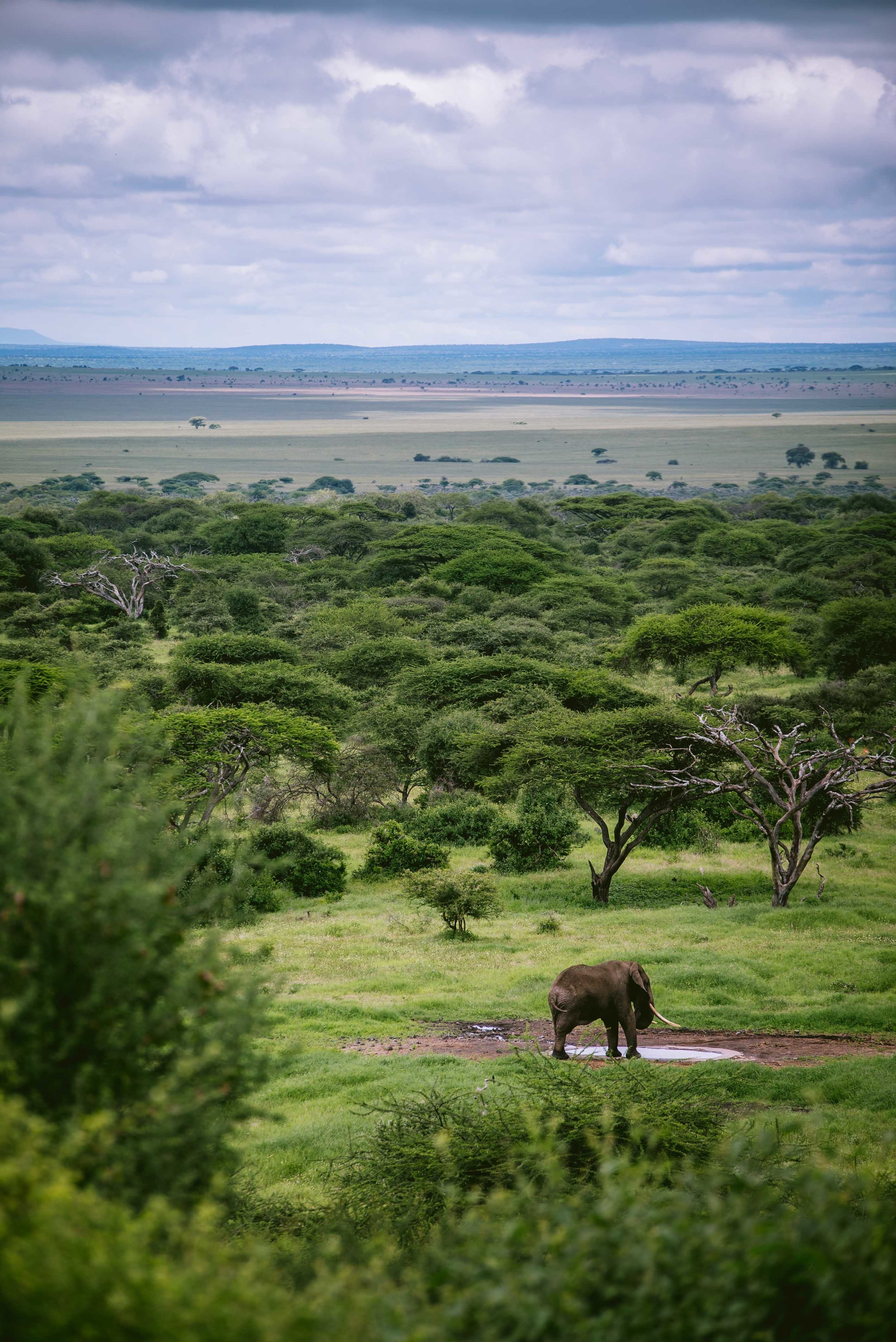 kenya-09181.jpg