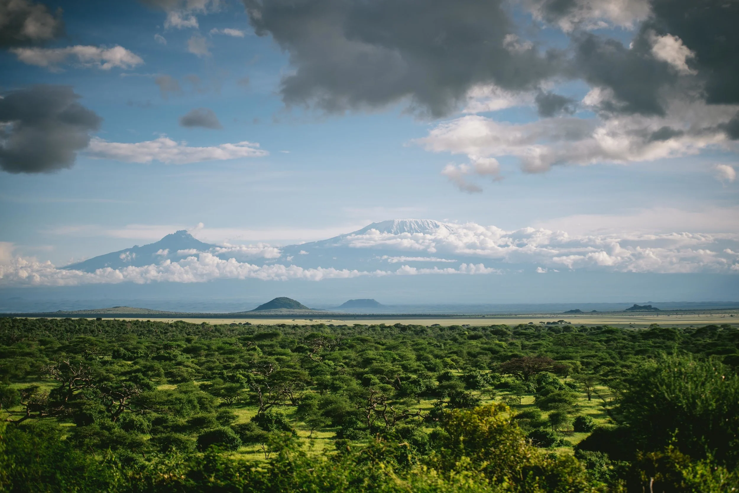 kenya-09254.jpg