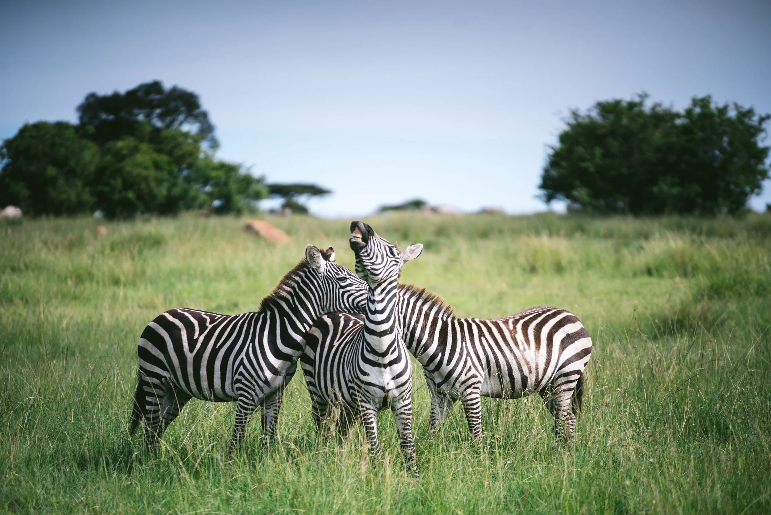 kenya-a7s-00007.jpg