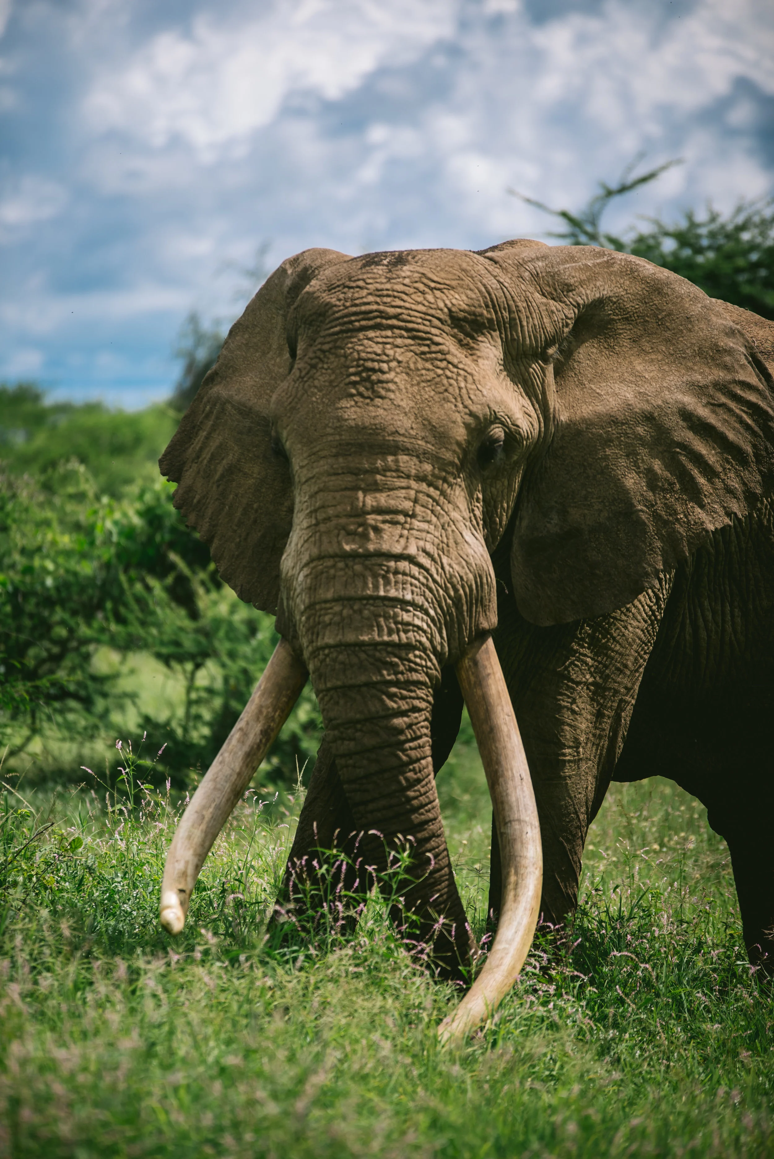 kenya-A7s-09713.jpg