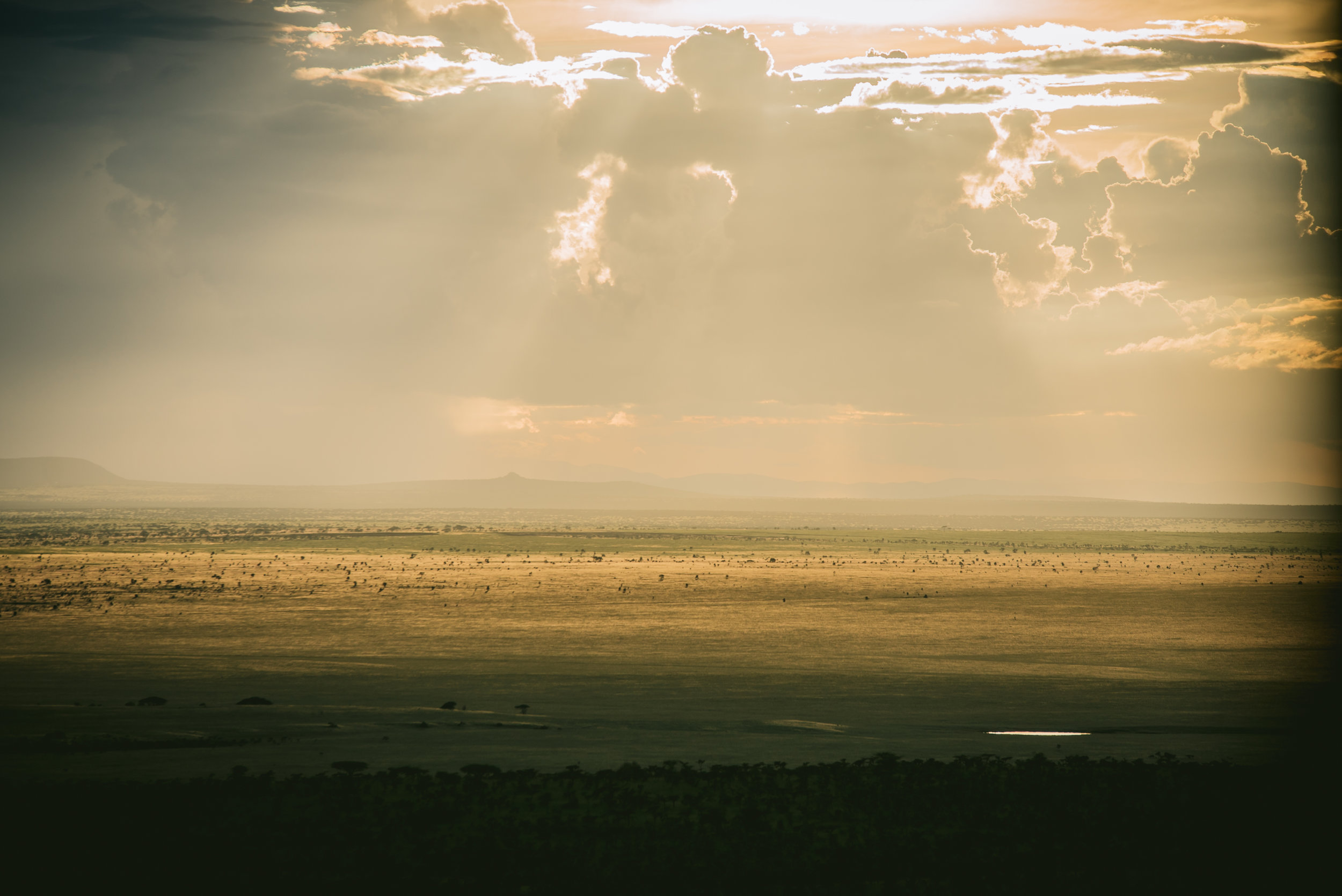 kenya-A7s-09742.jpg