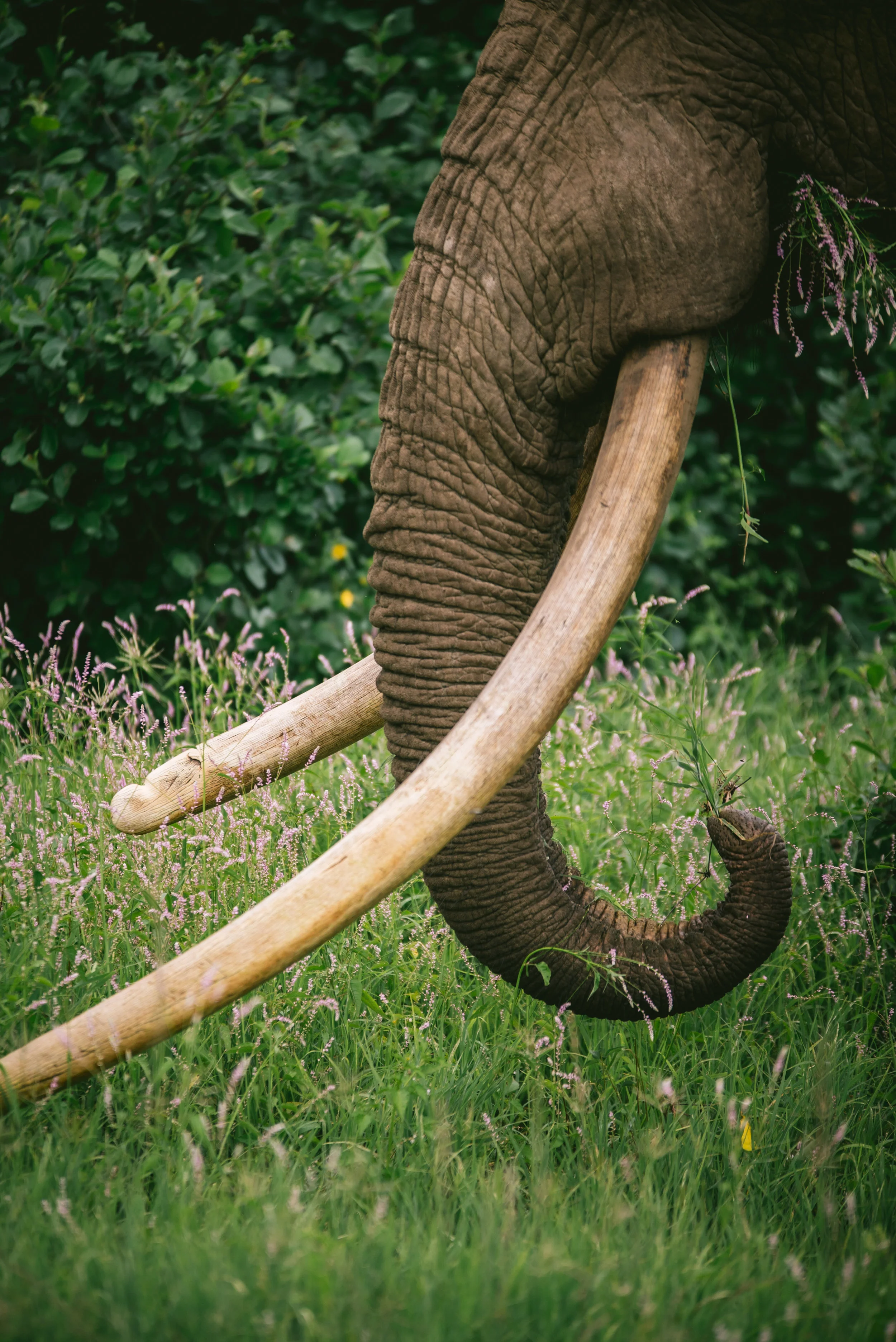 kenya-A7s-09723.jpg