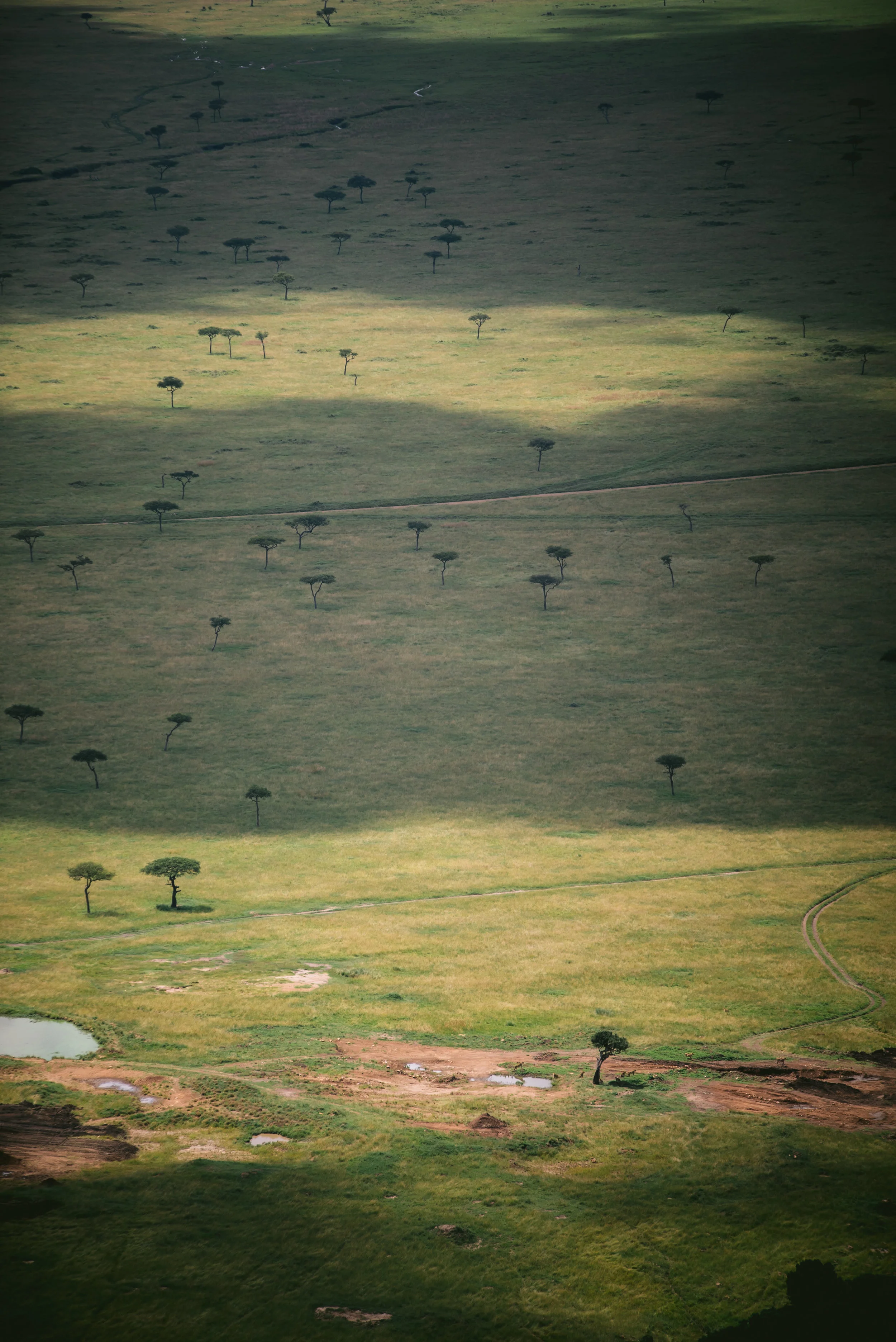 kenya-A7s-09763.jpg
