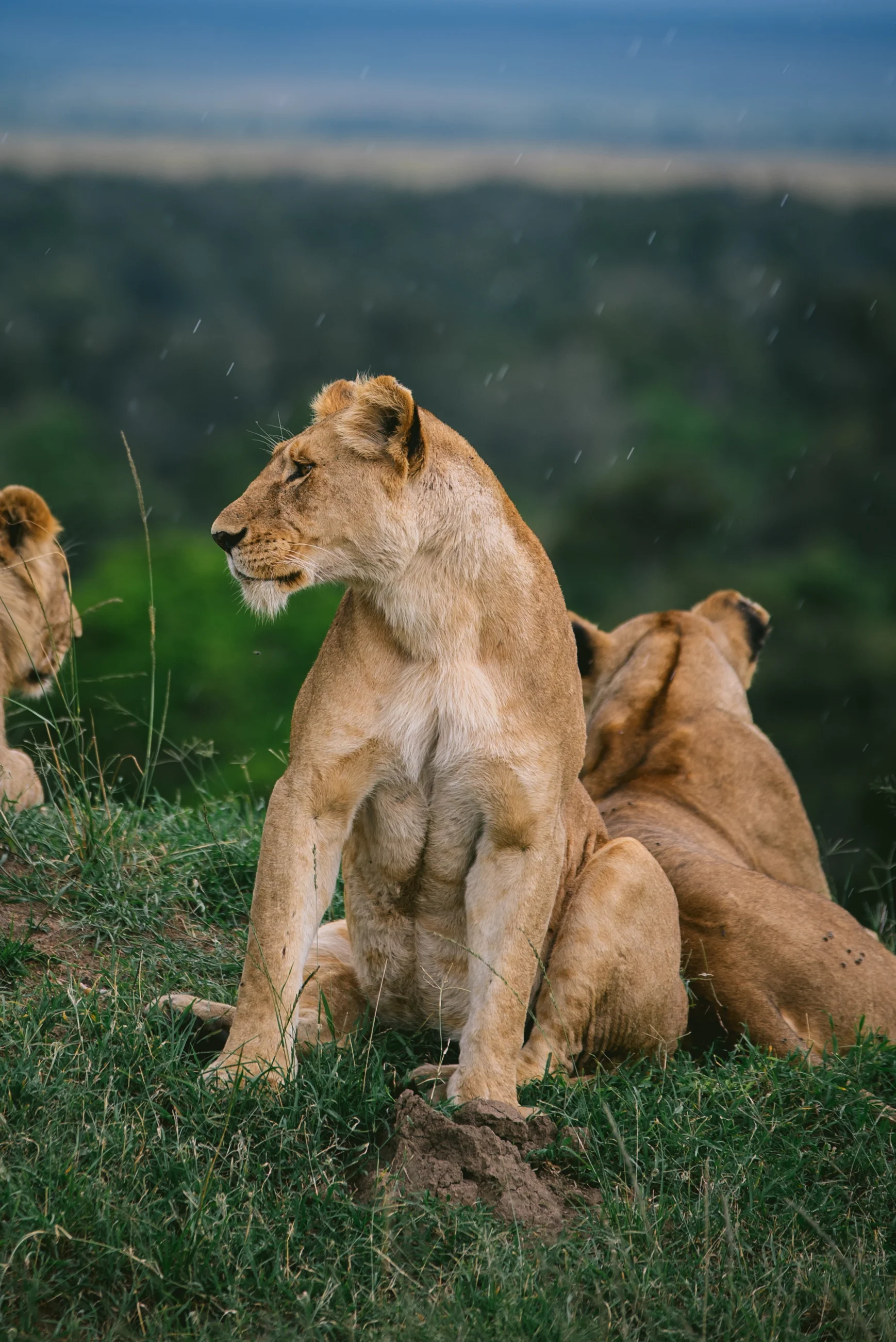 kenya-A7s-09788-2.jpg