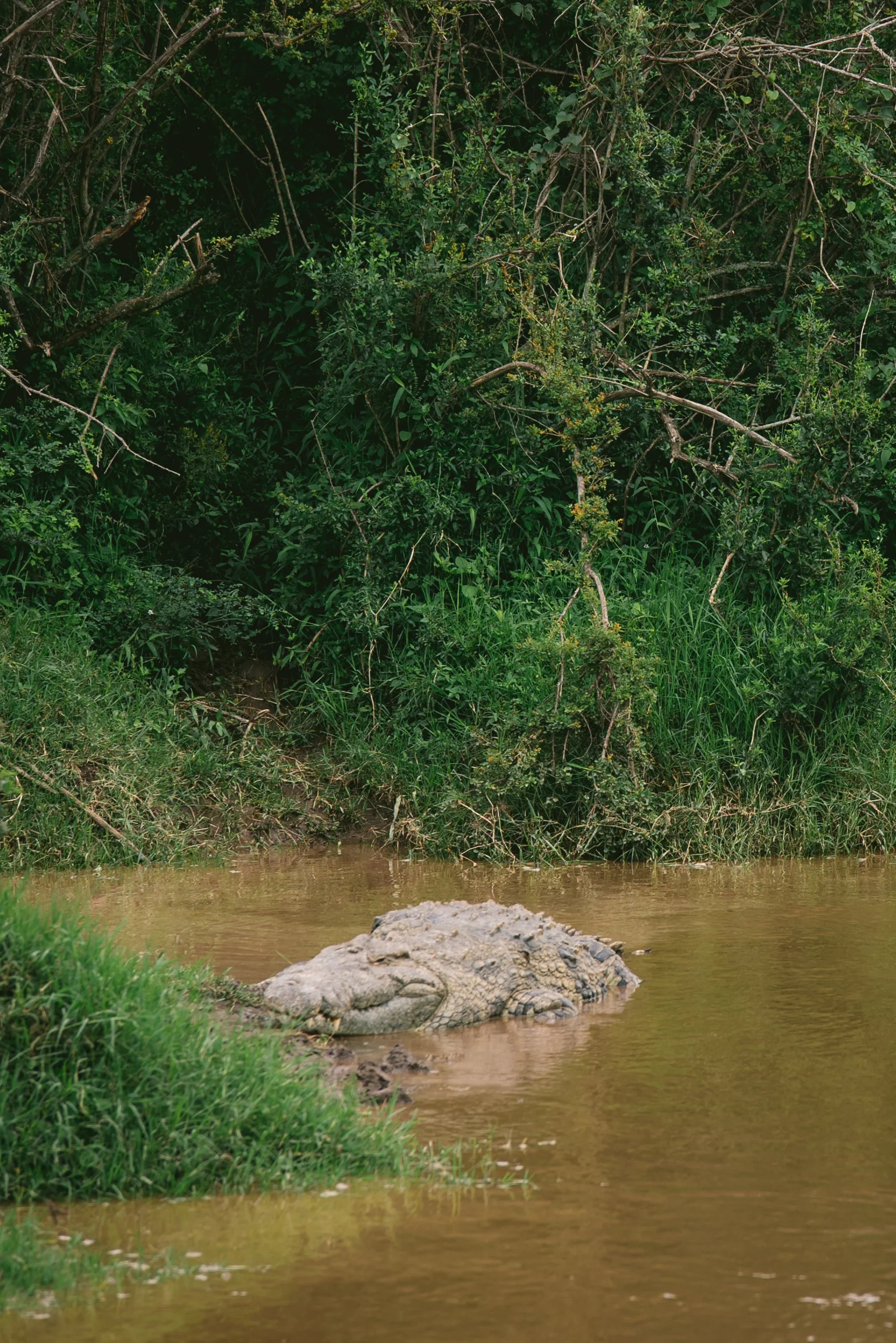 kenya-A7s-09871.jpg