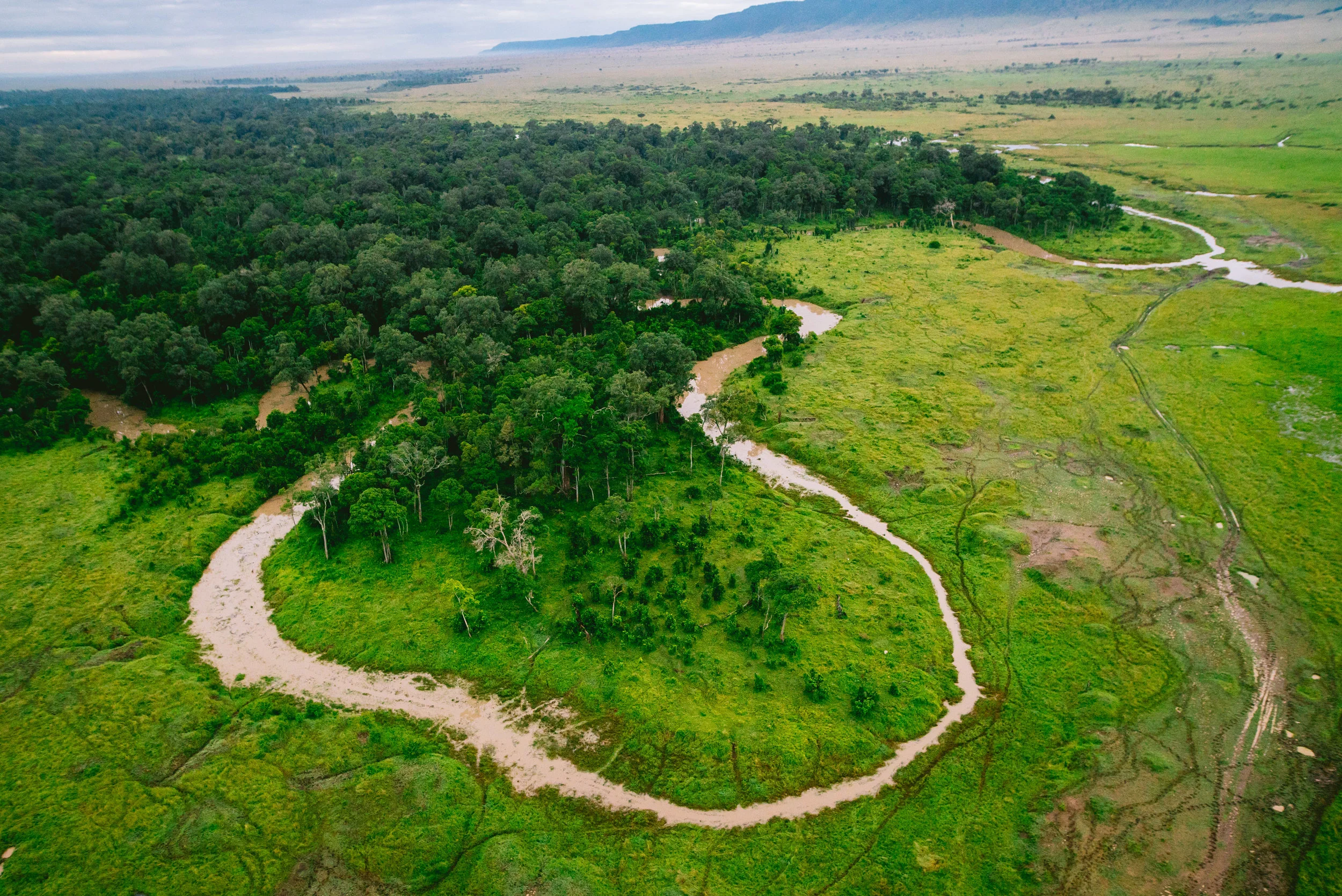 kenya-a7s-09977.jpg