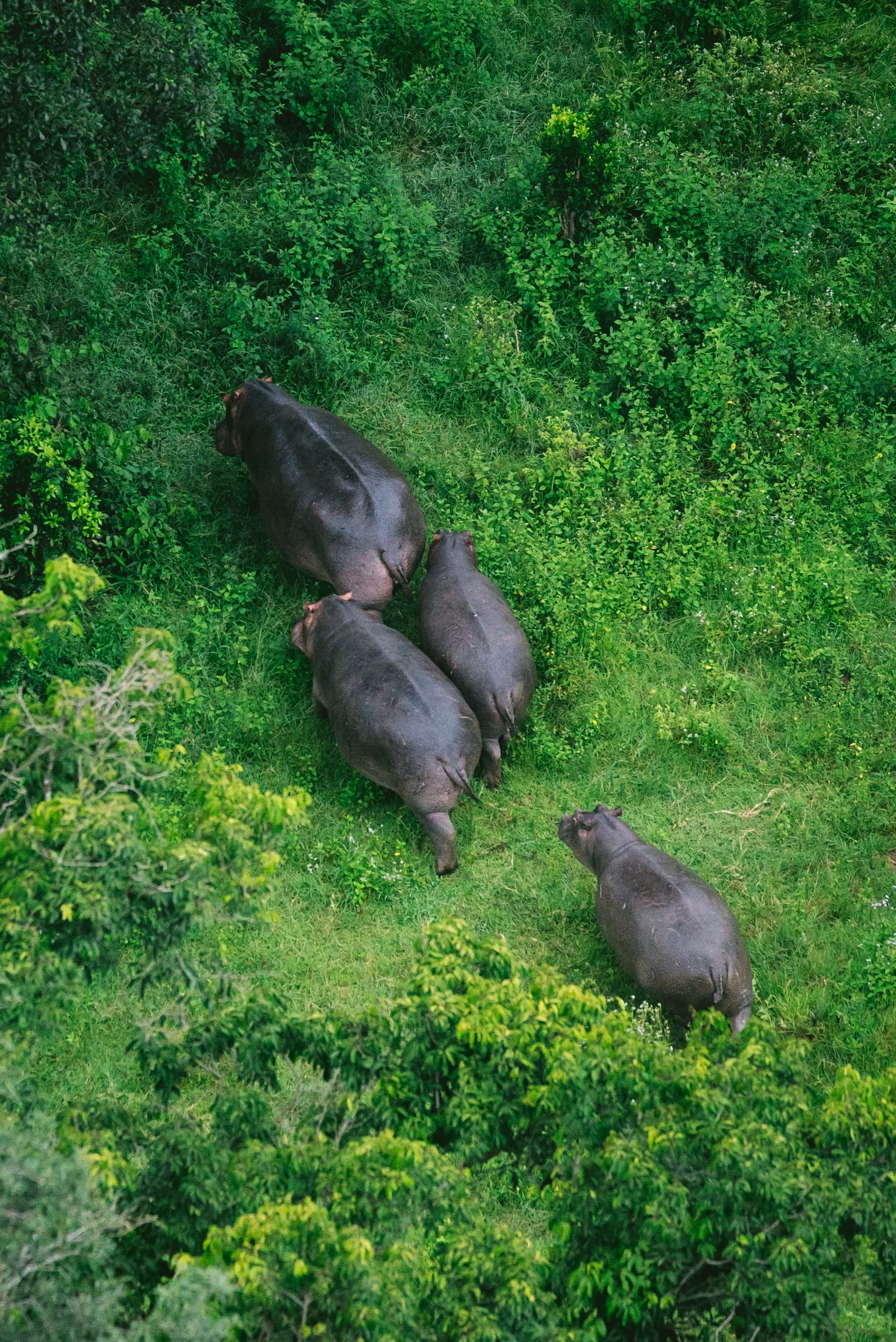 kenya-a7s-09980-3.jpg