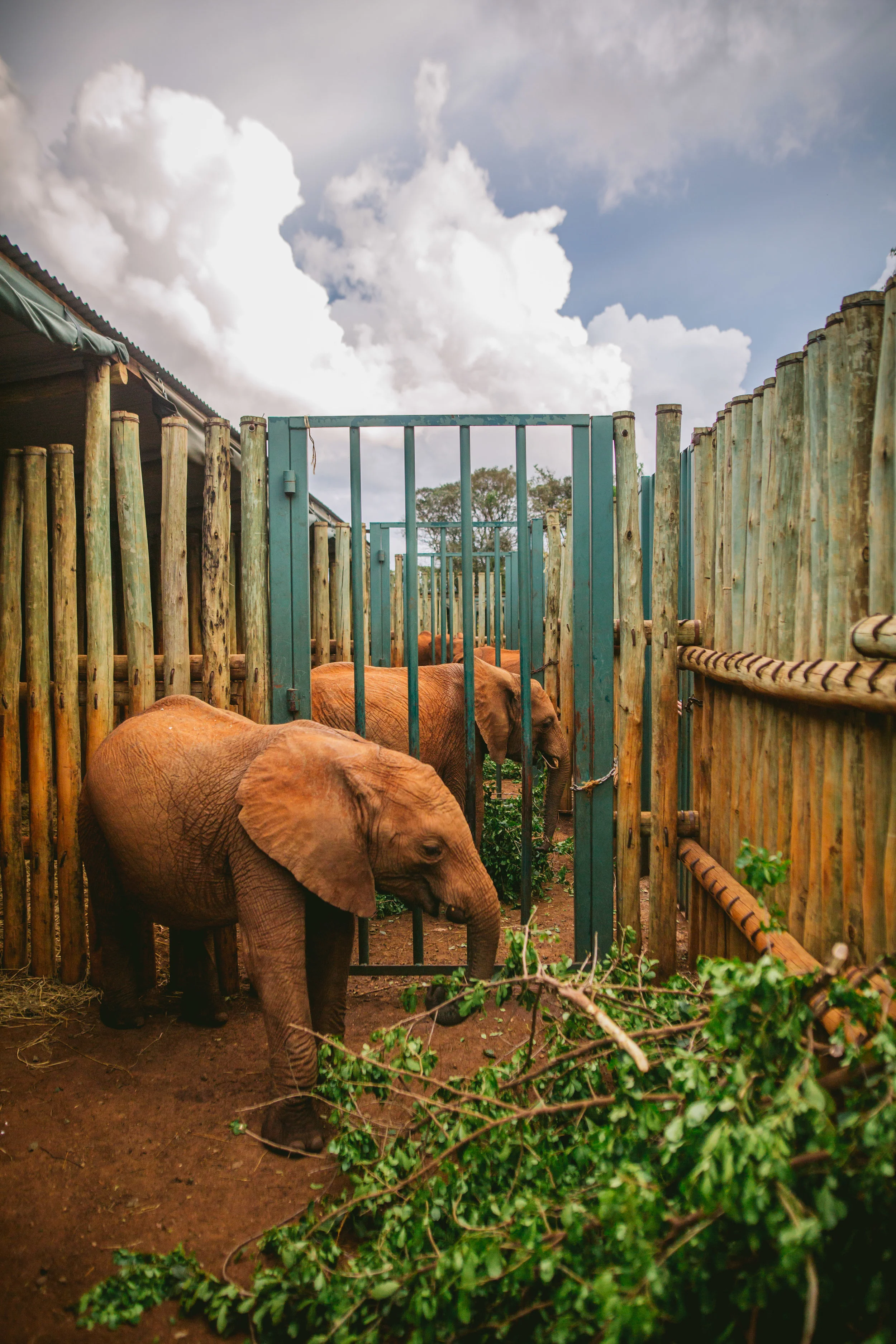 kenya (147 of 185).jpg