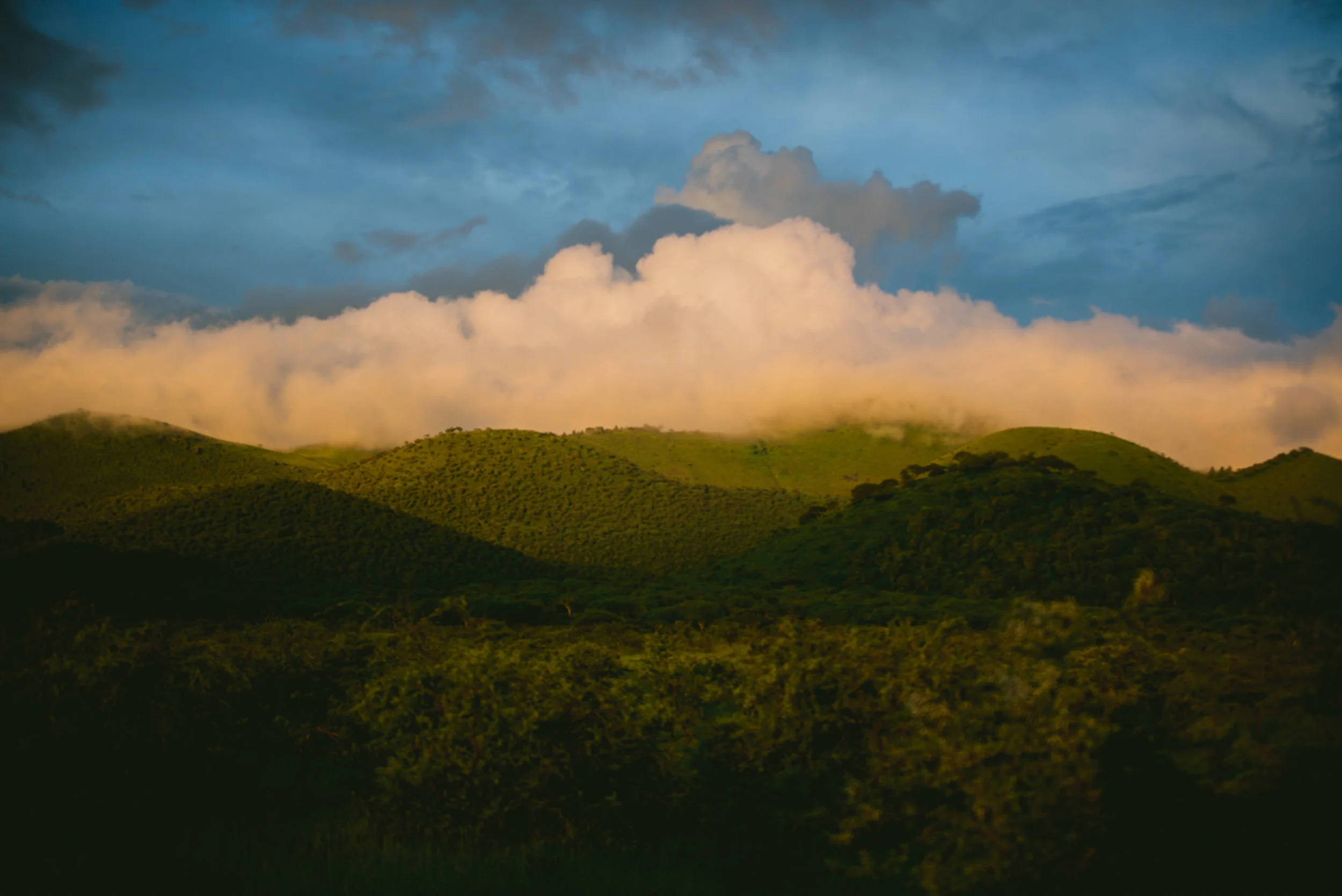 kenya-A7s-09750.jpg
