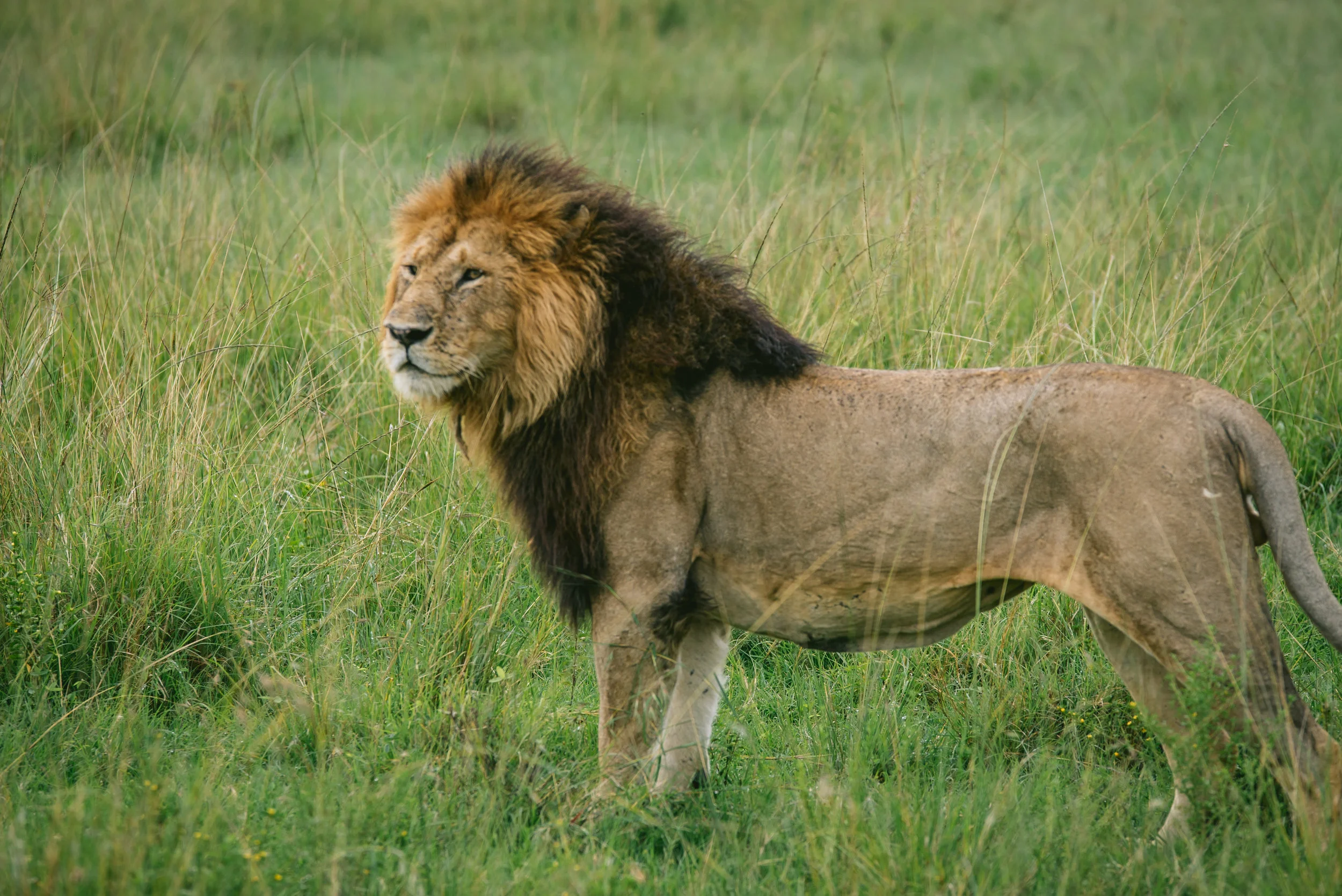 kenya-A7s-09846.jpg