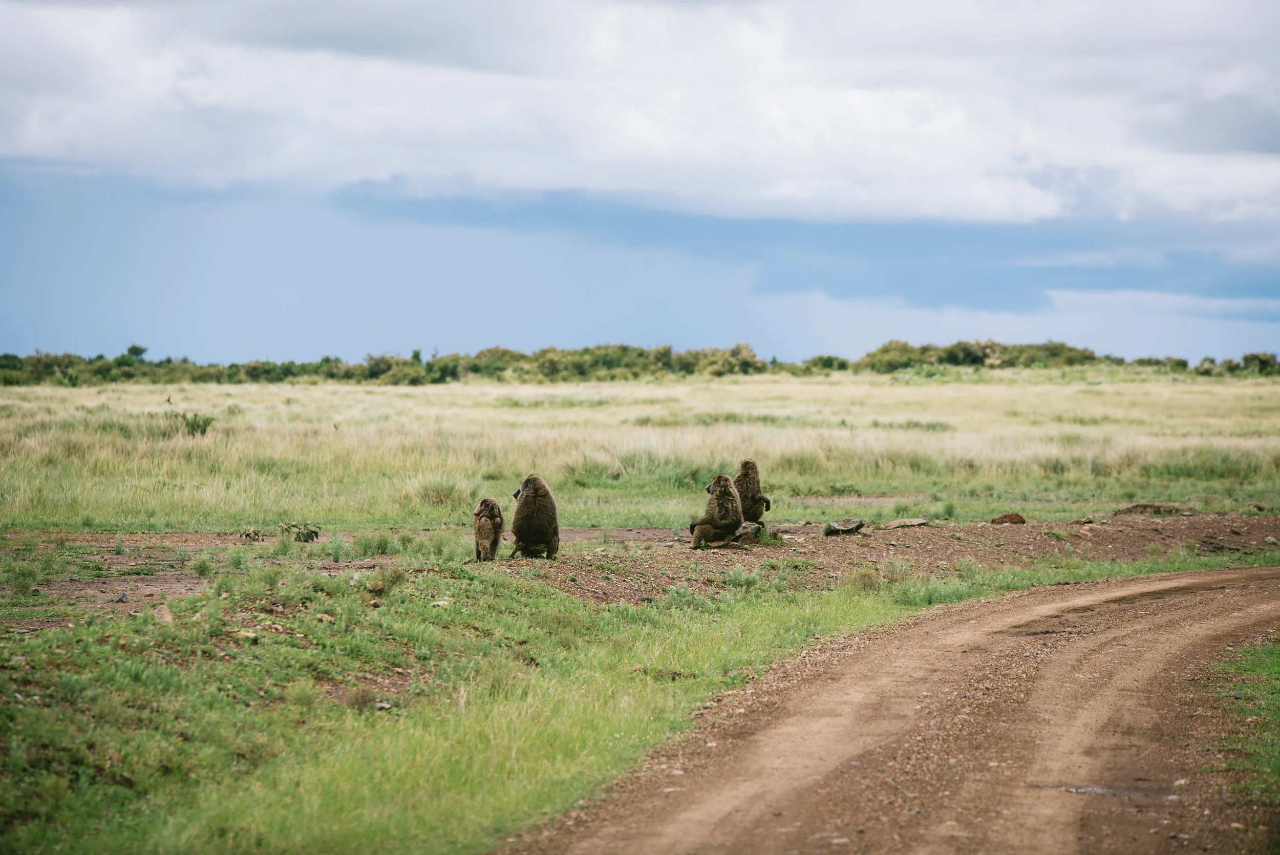 kenya-A7s-09897.jpg