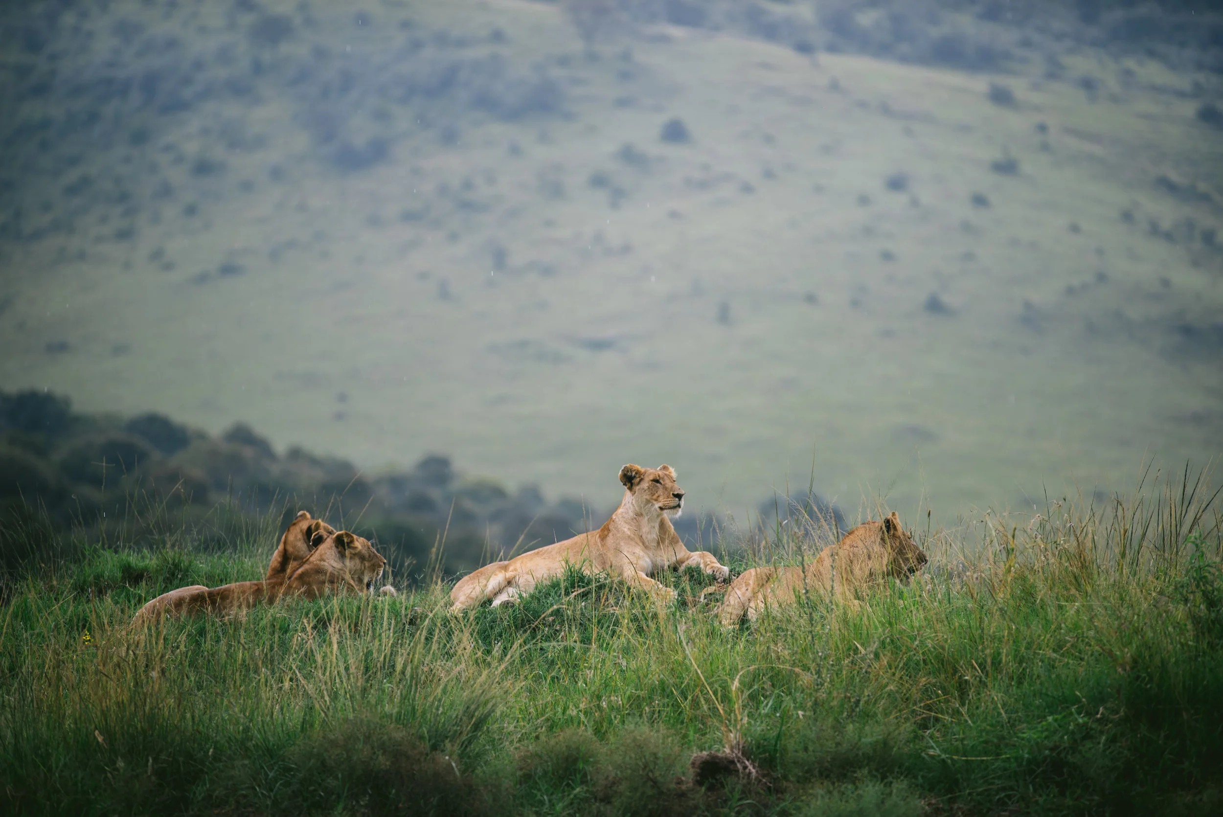 kenya-A7s-09785.jpg