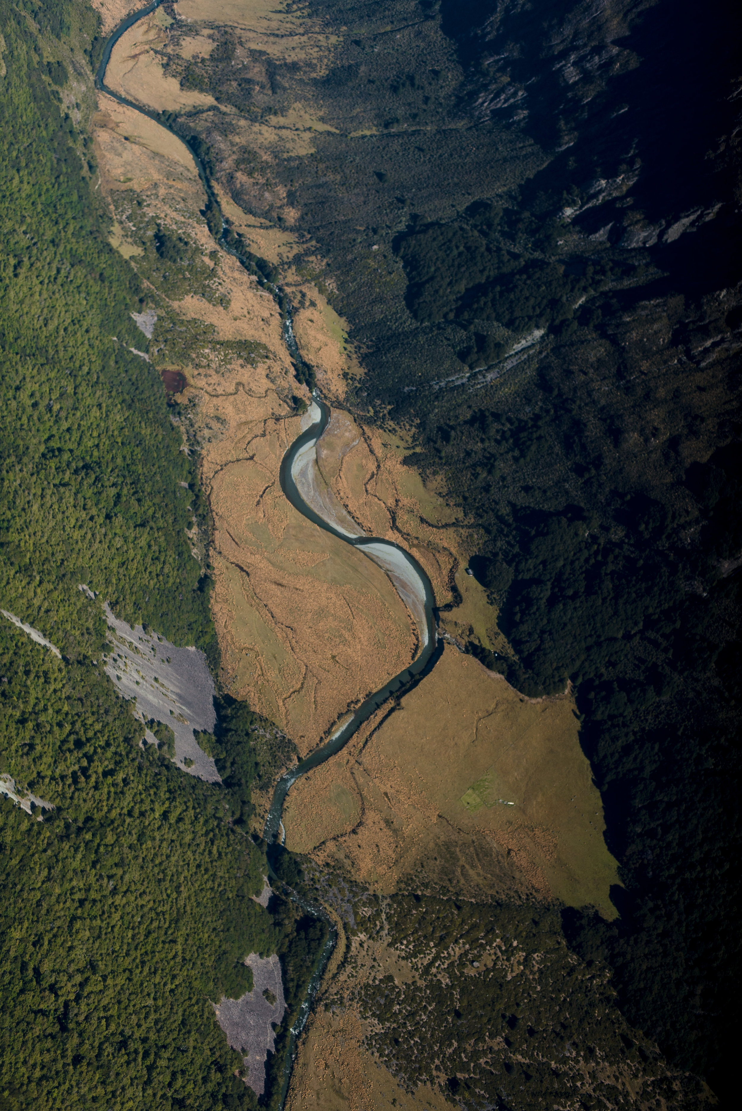 newzealand-01622.jpg