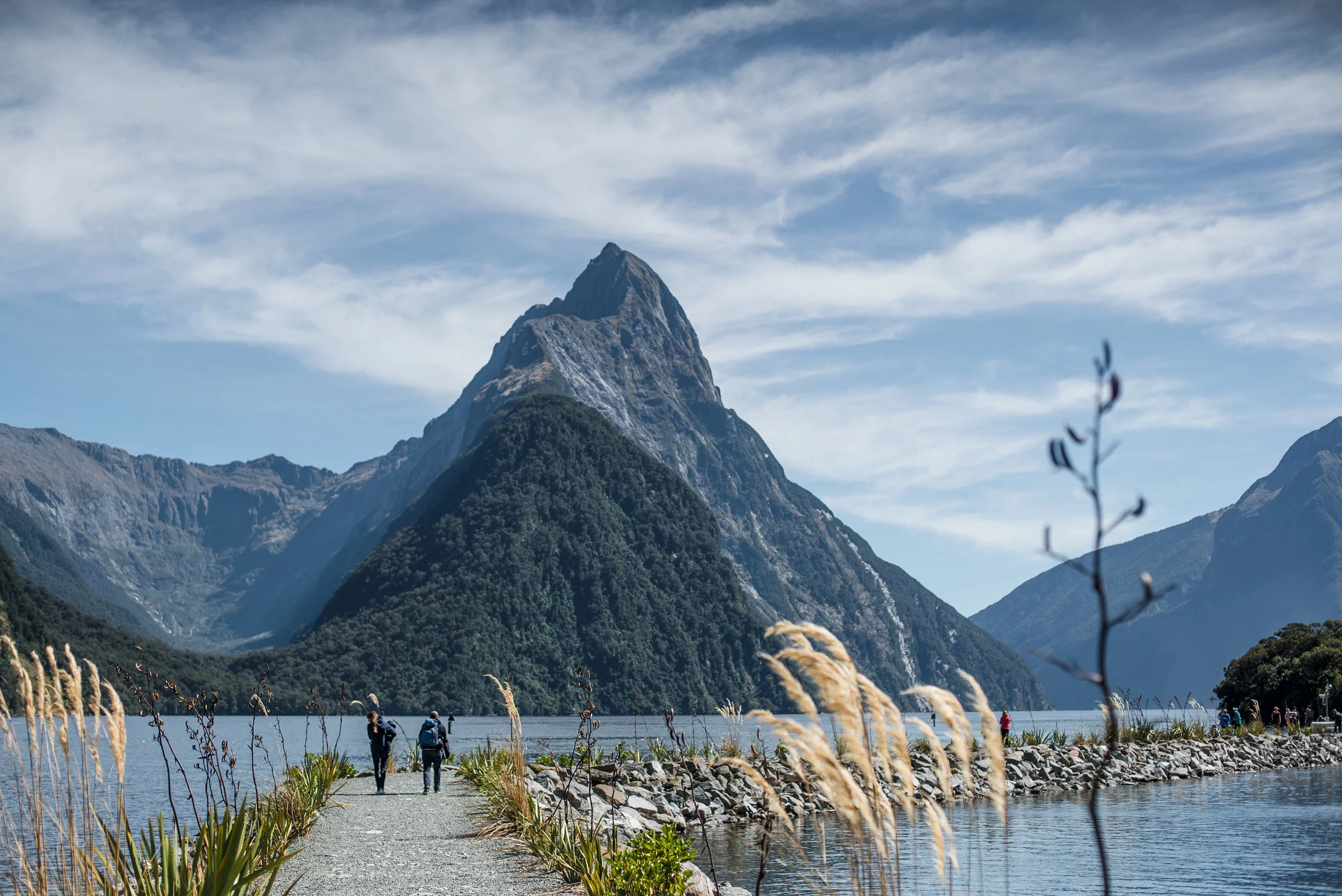 newzealand-01459.jpg