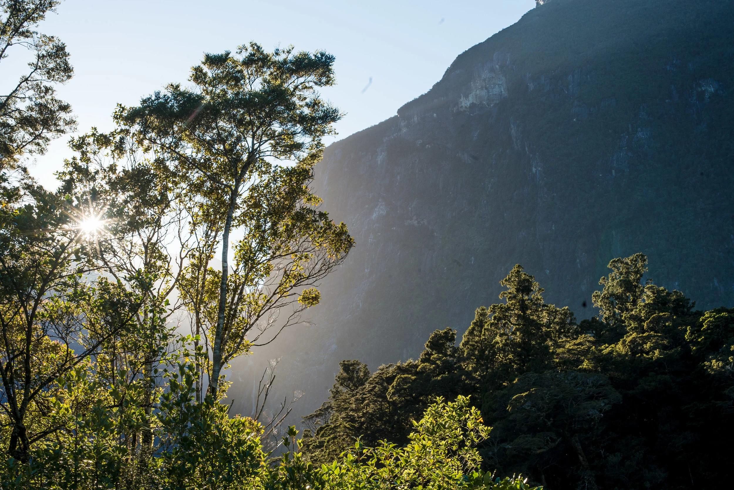 newzealand-01375.jpg