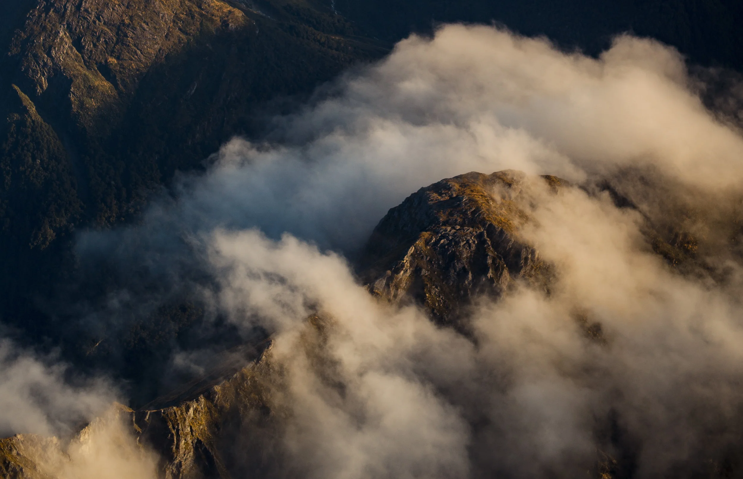 newzealand-01321-2.jpg