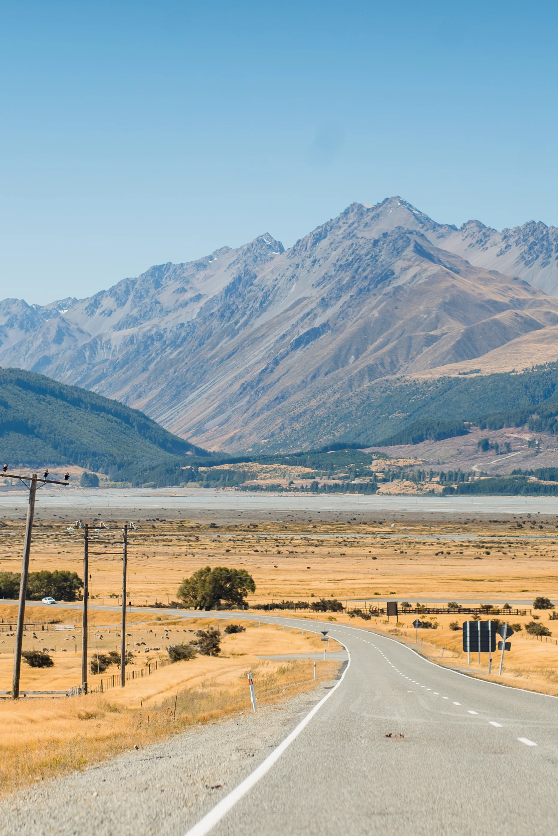 newzealand-00687-2.jpg