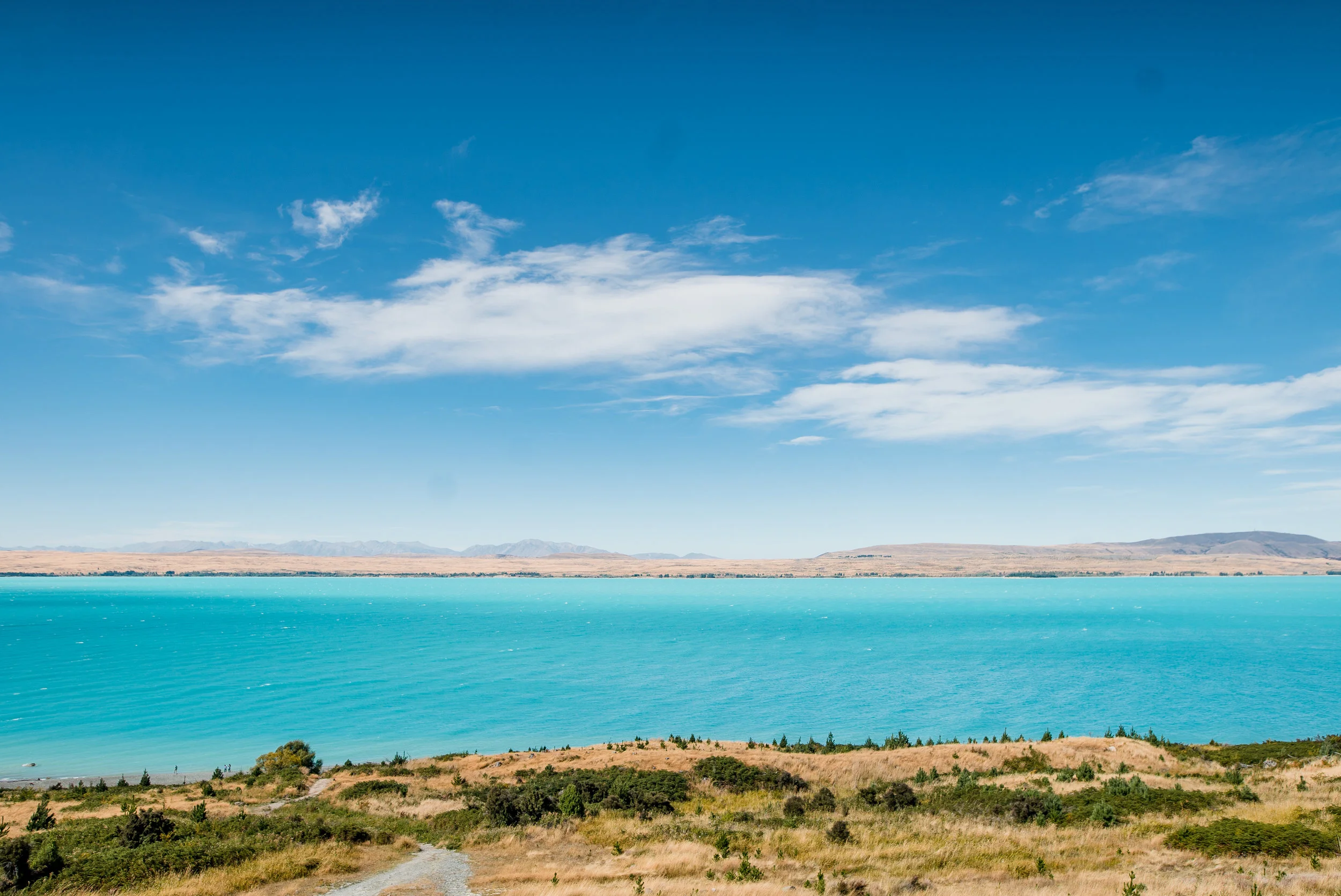 newzealand-00670.jpg