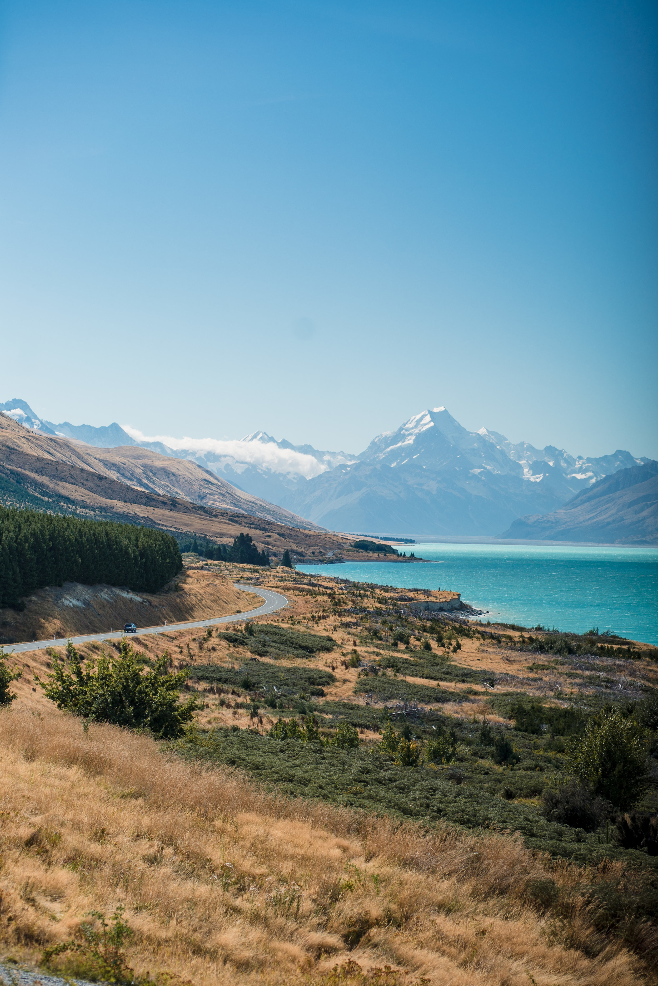 newzealand-00664.jpg