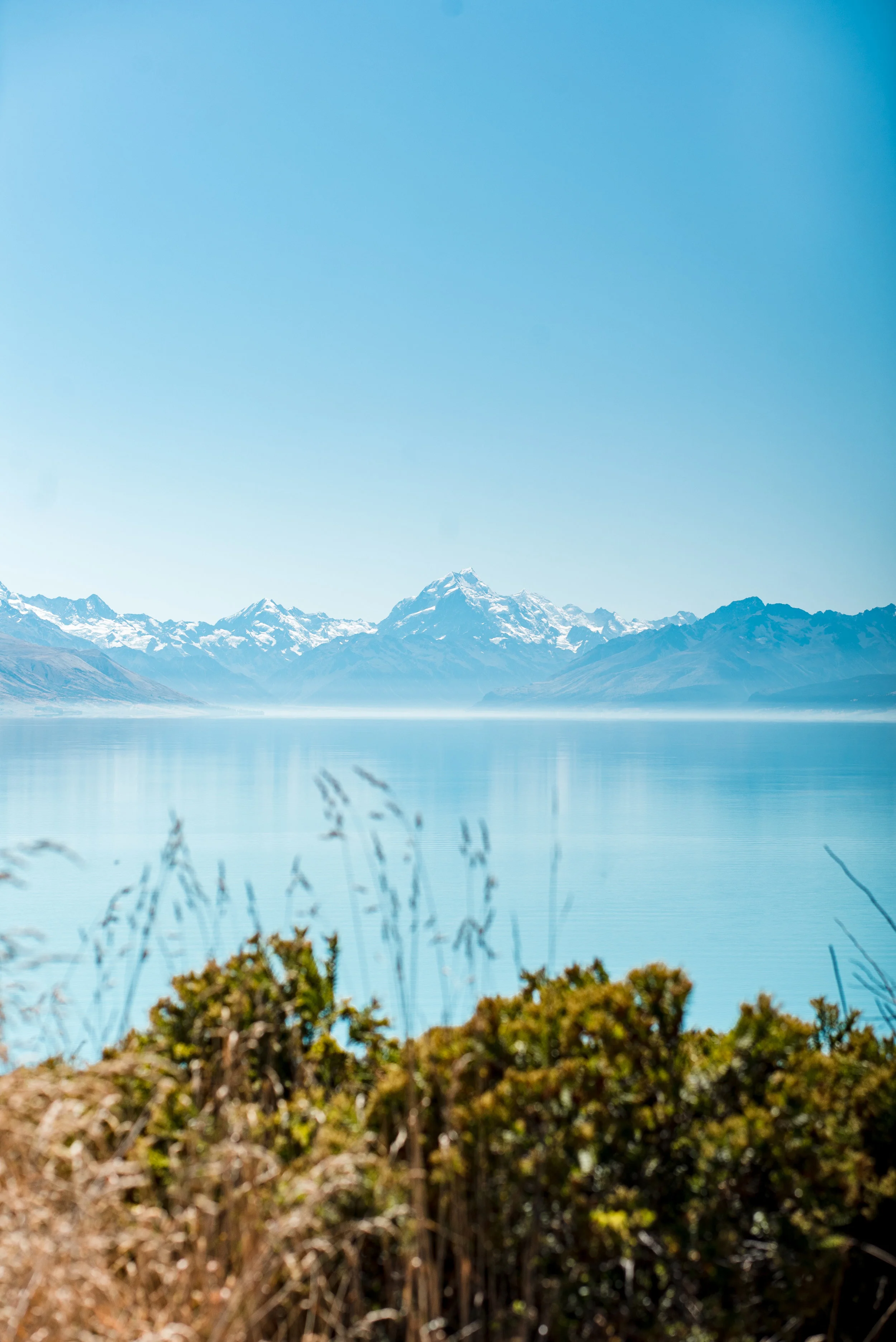 newzealand-00570.jpg