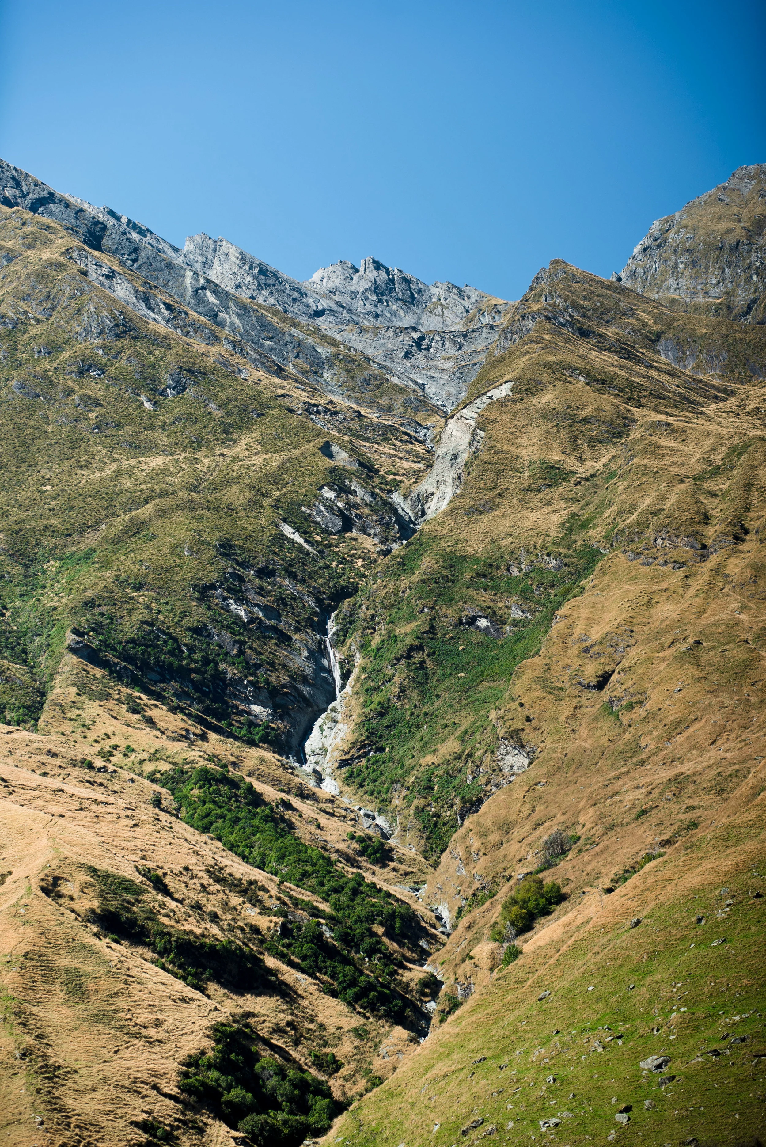 newzealand-00369.jpg