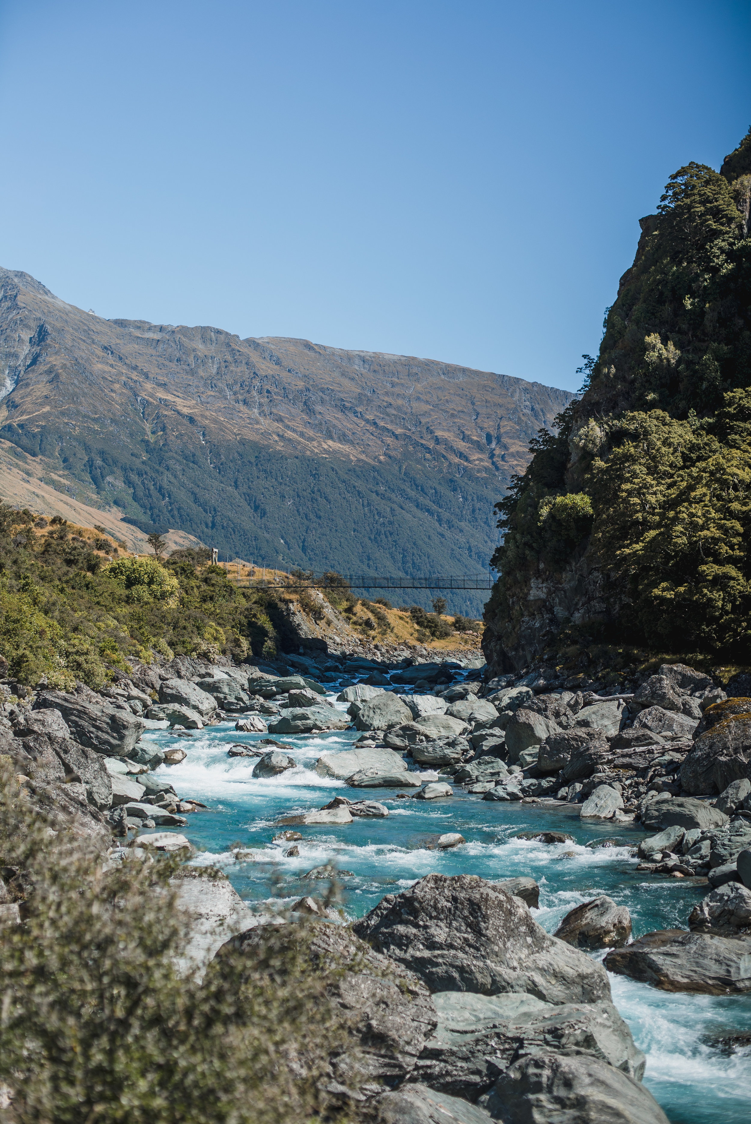 newzealand-00401.jpg
