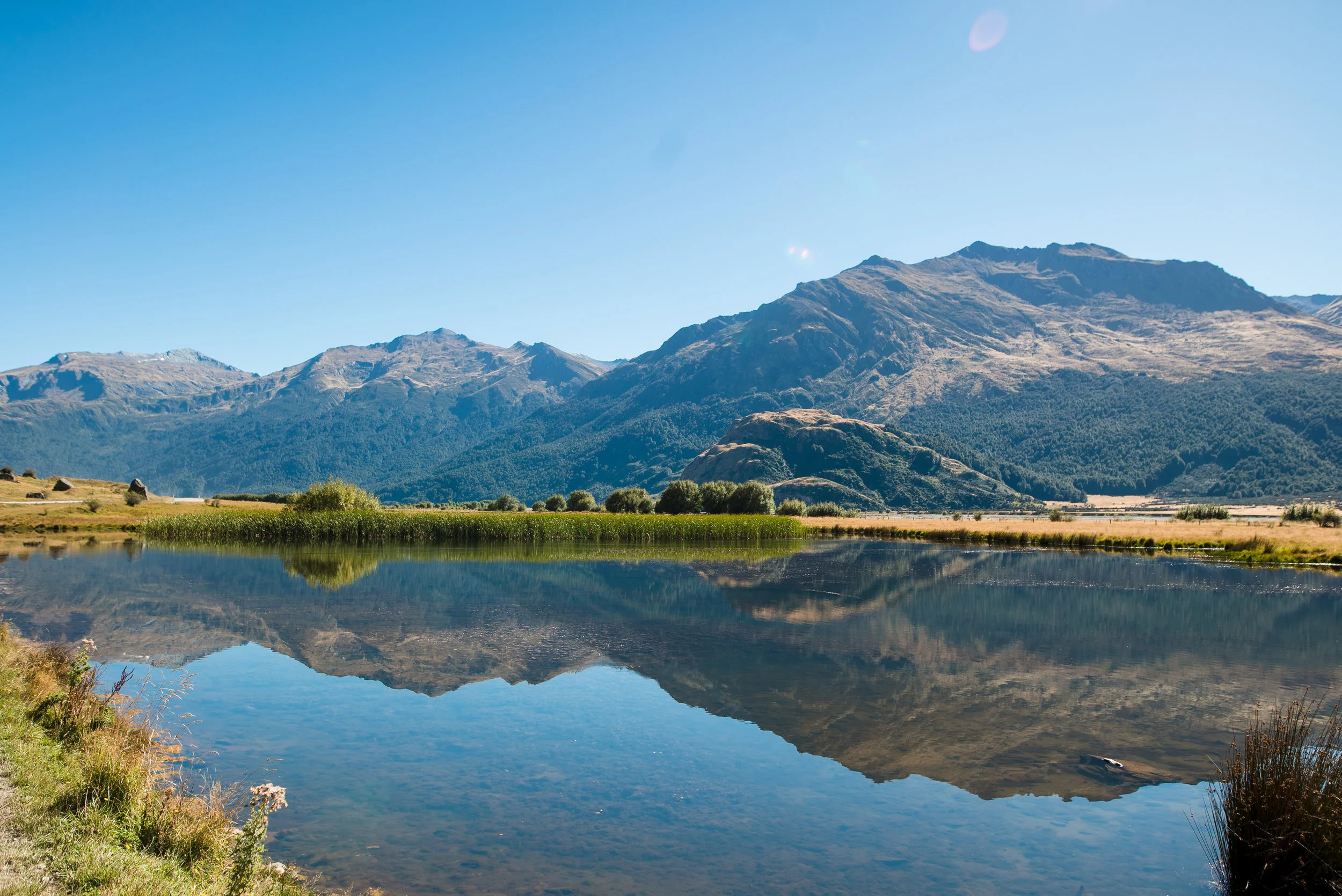newzealand-00345.jpg