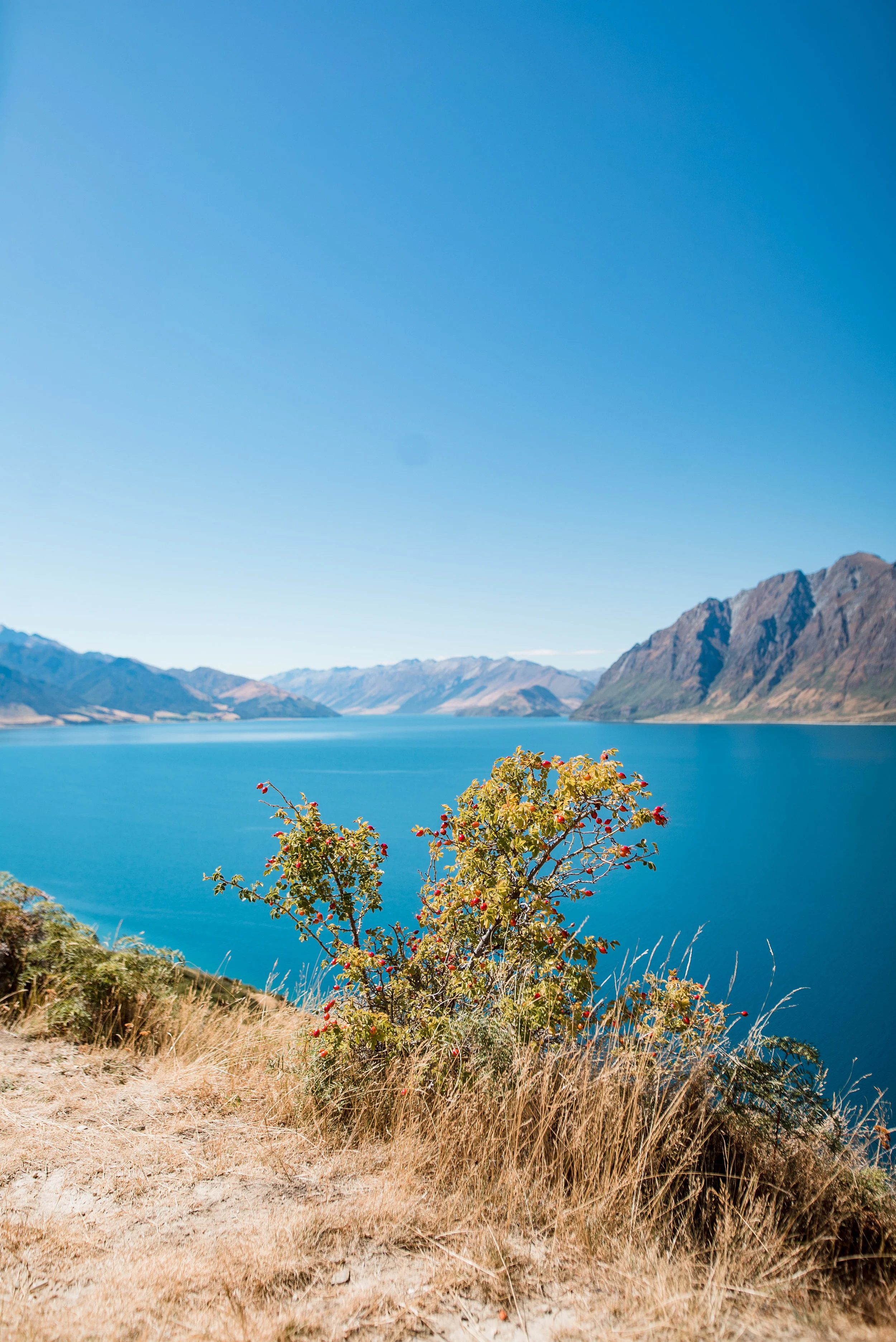 newzealand-00173.jpg