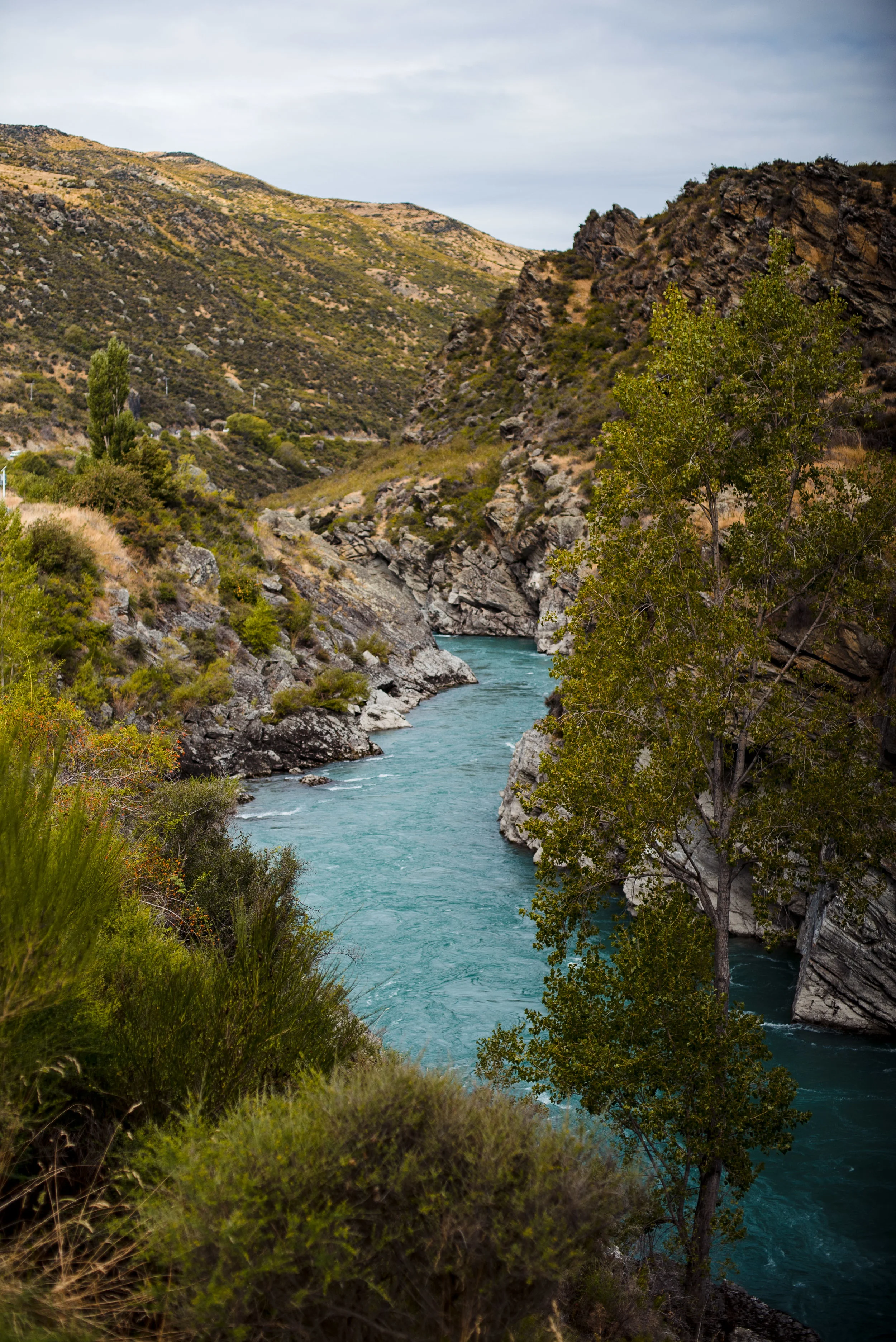 newzealand-00046.jpg
