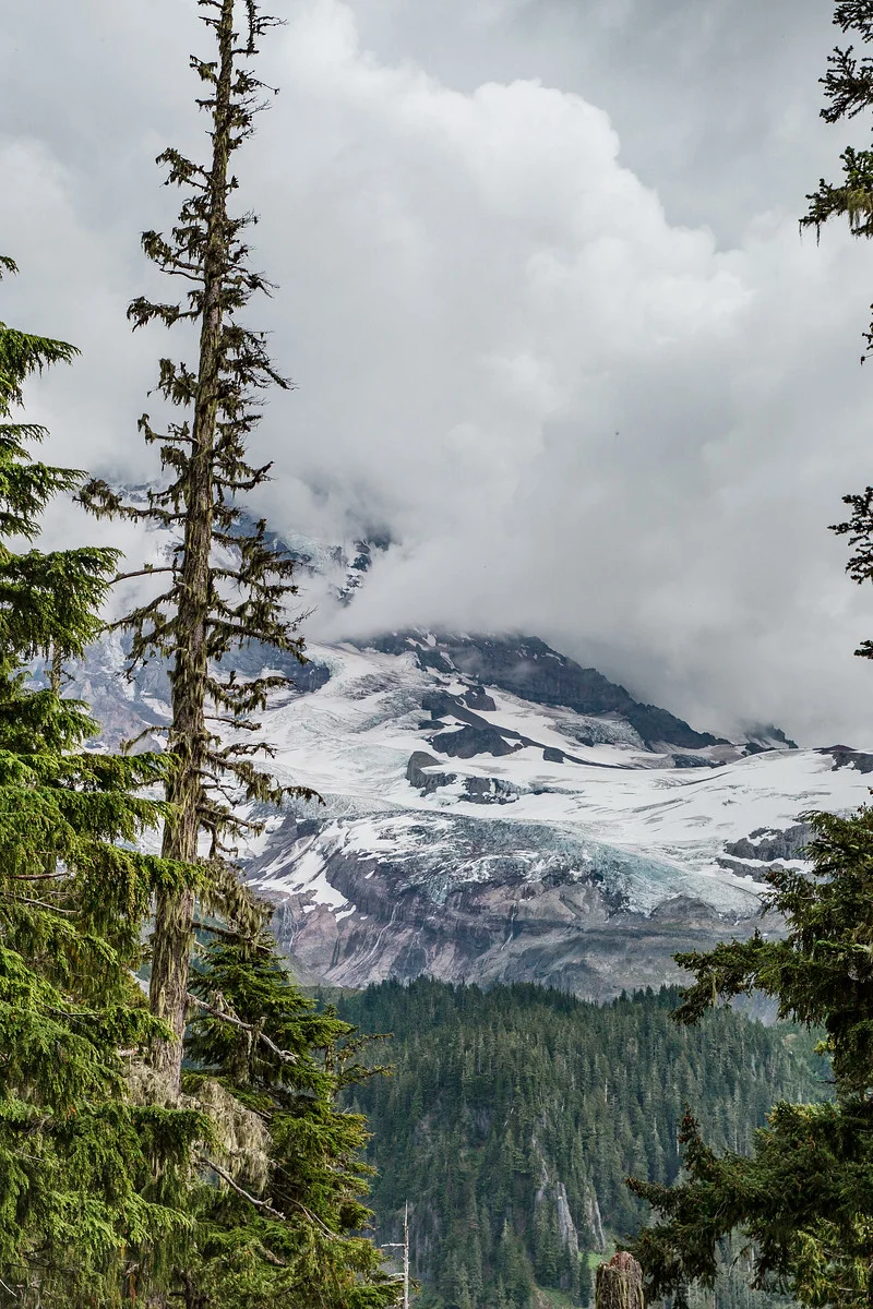 rainier-5238-2.jpg