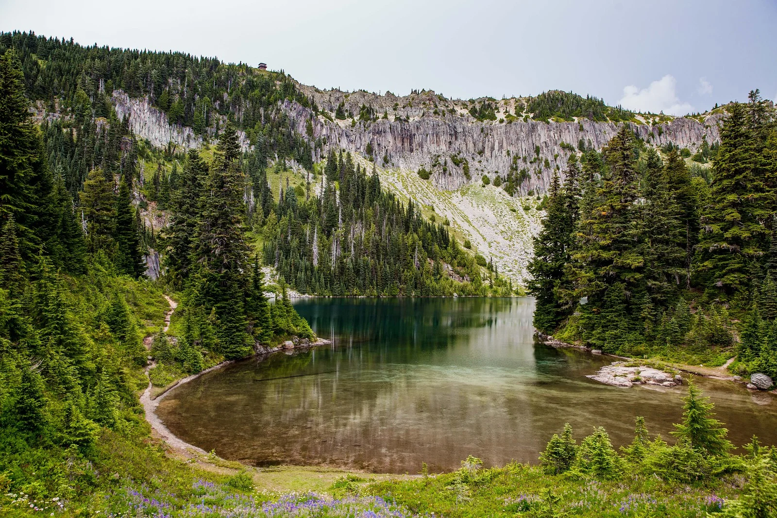 rainier-5291.jpg